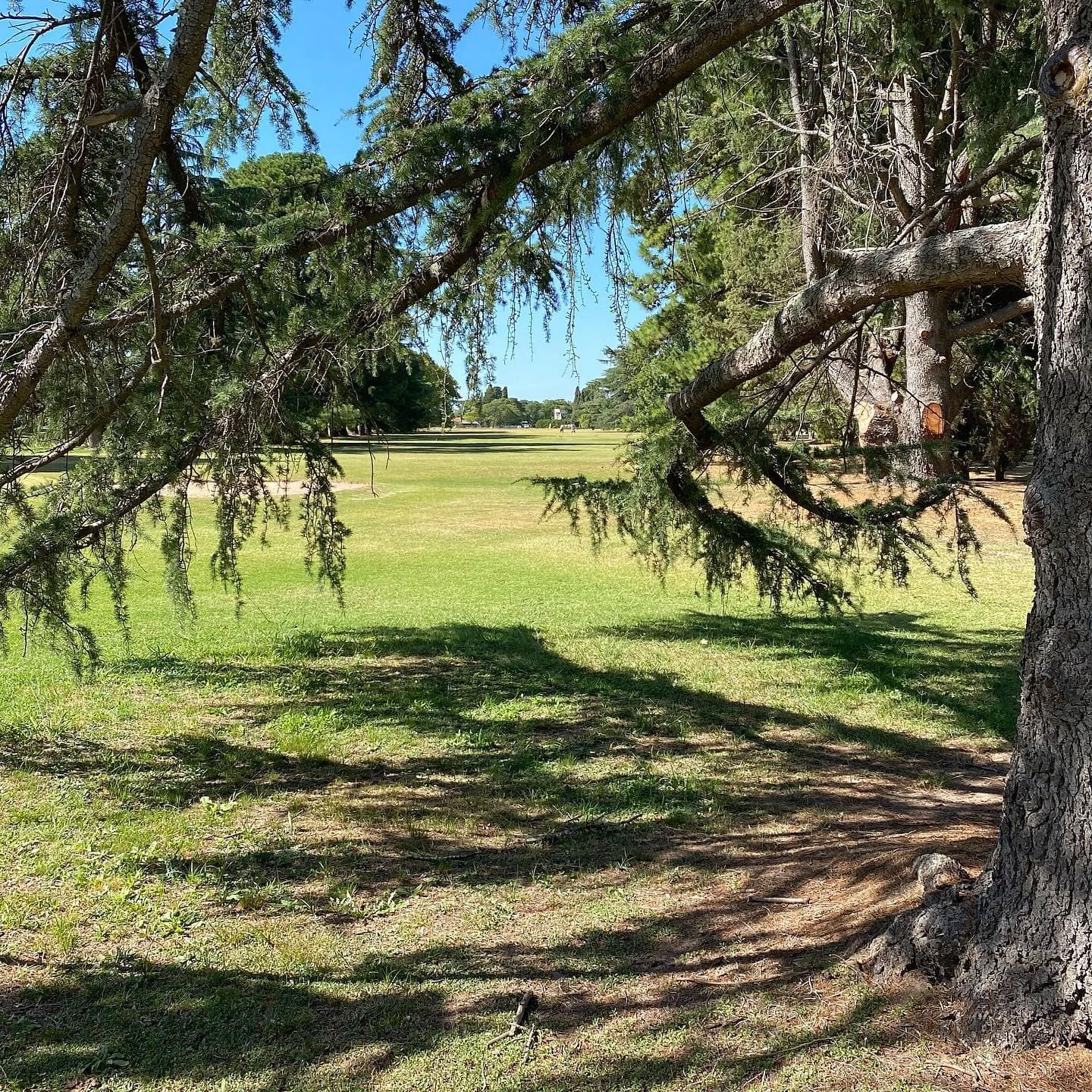 ARECO GOLF S.A.