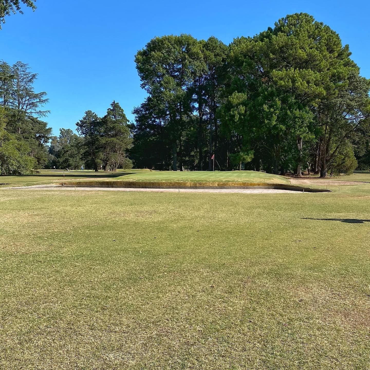ARECO GOLF S.A.