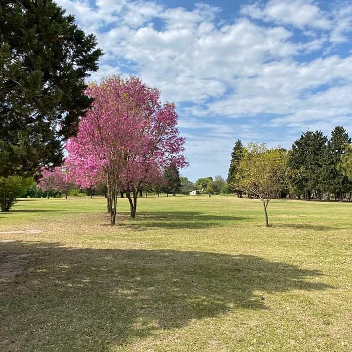 BELL VILLE GOLF CLUB