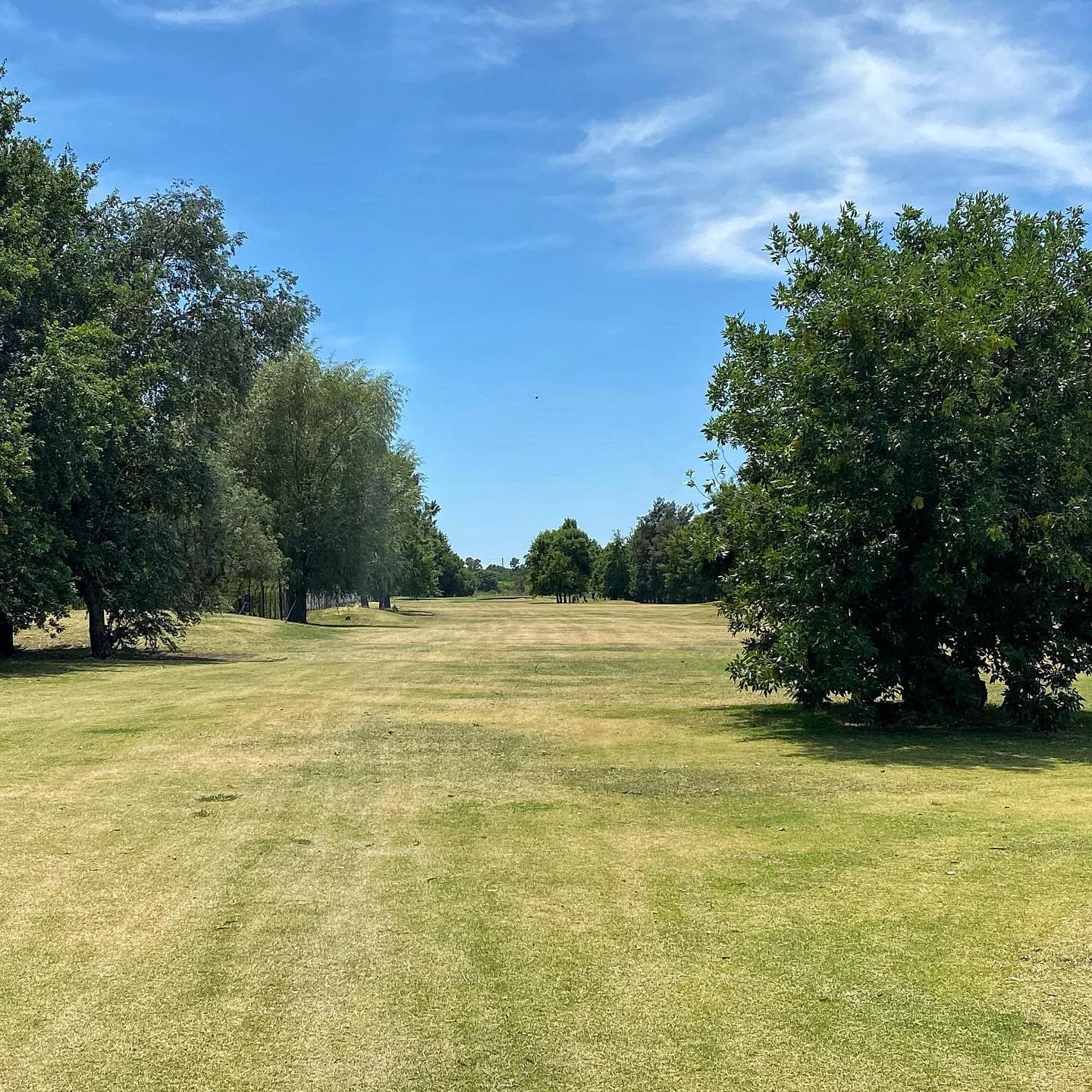 BOCA RATON COUNTRY LIFE S.A.