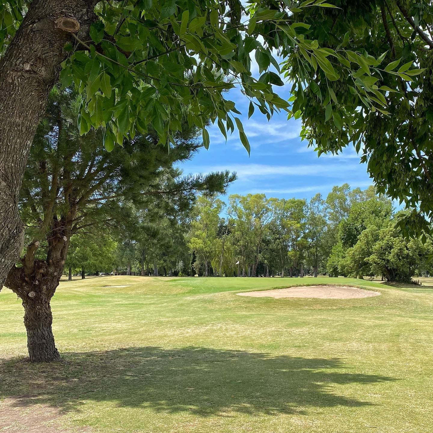 BOCA RATON COUNTRY LIFE S.A.