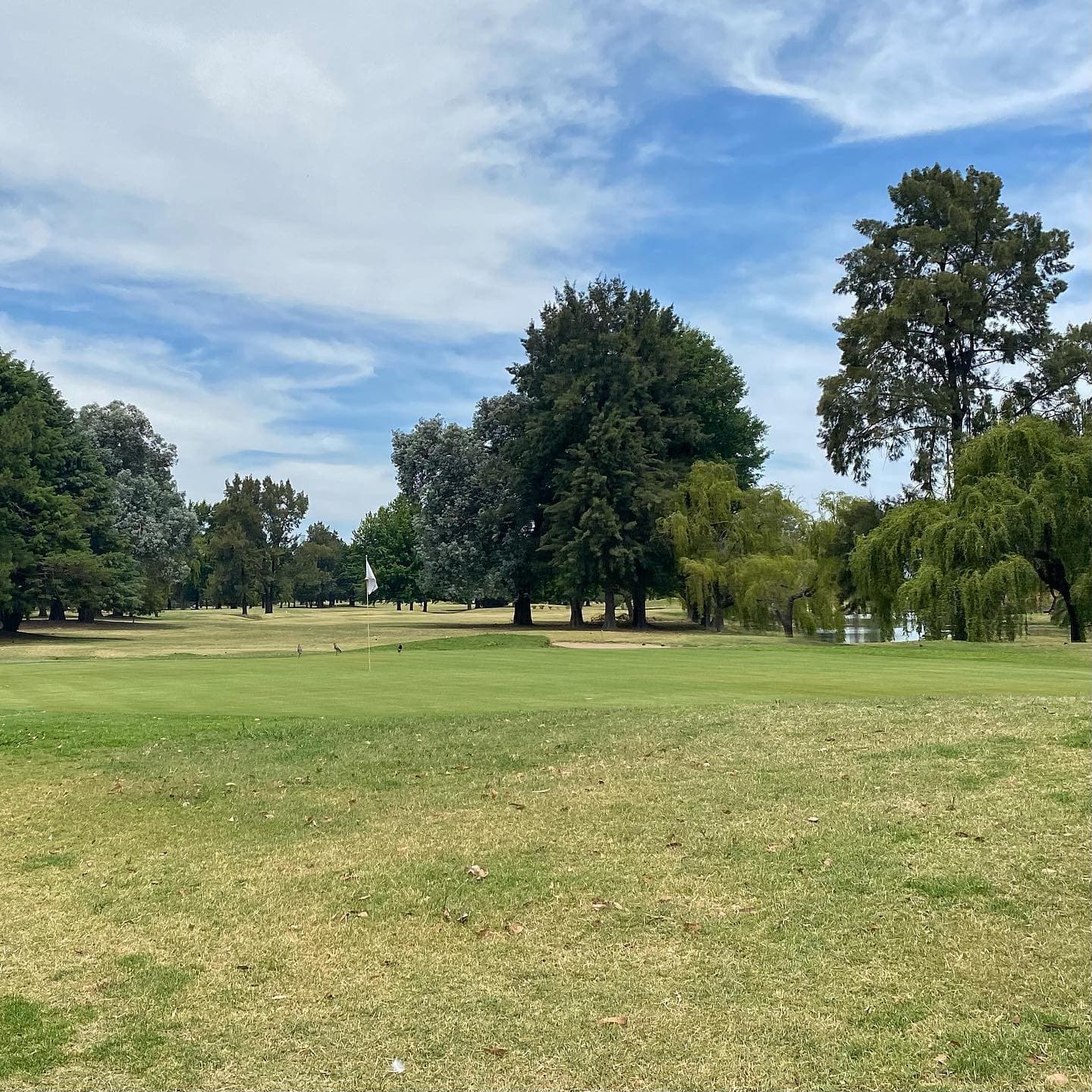 BOCA RATON COUNTRY LIFE S.A.