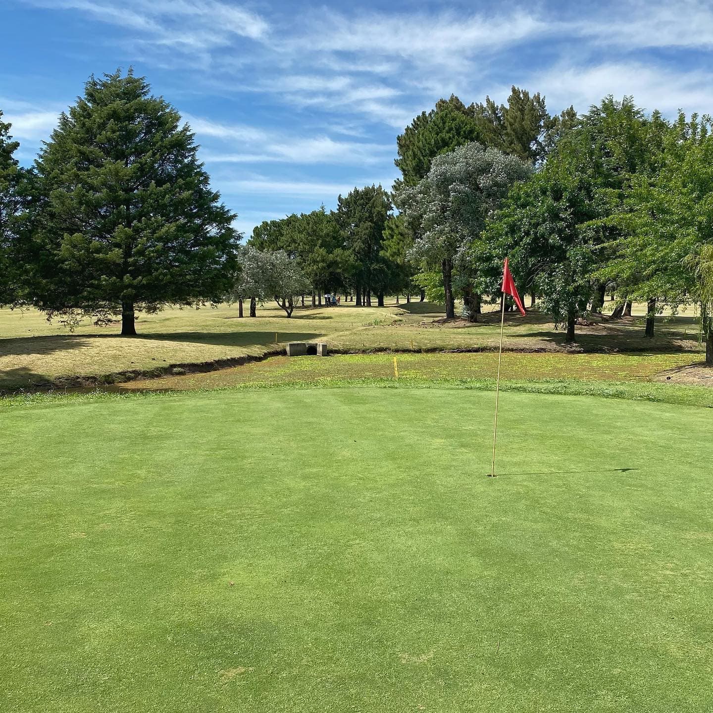 BOCA RATON COUNTRY LIFE S.A.