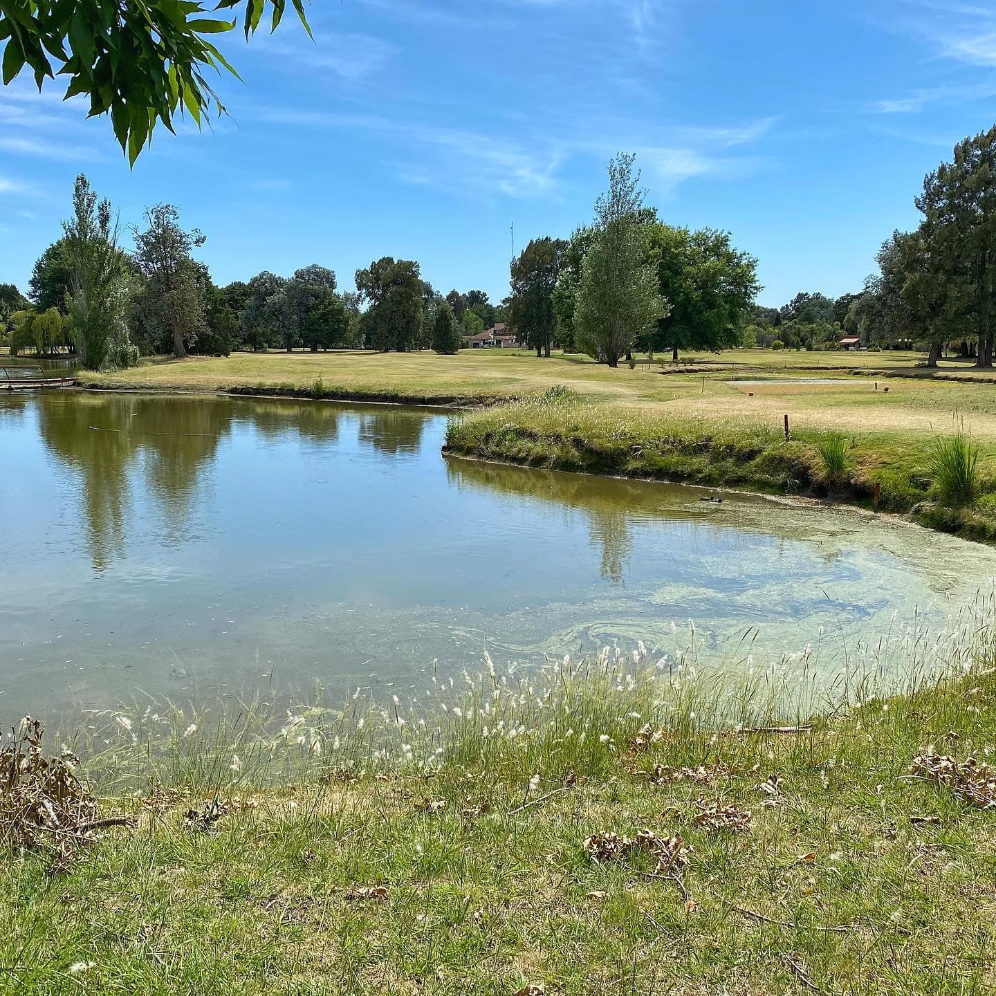 BOCA RATON COUNTRY LIFE S.A.