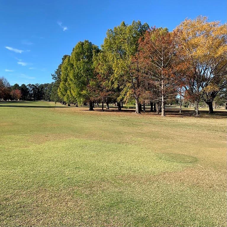 C. A. C. MERCEDES GOLF CLUB