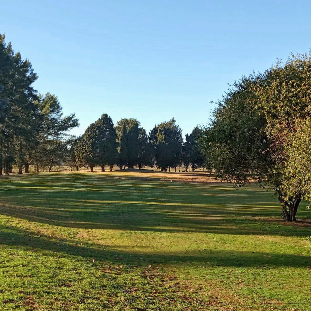 C. A. C. MERCEDES GOLF CLUB