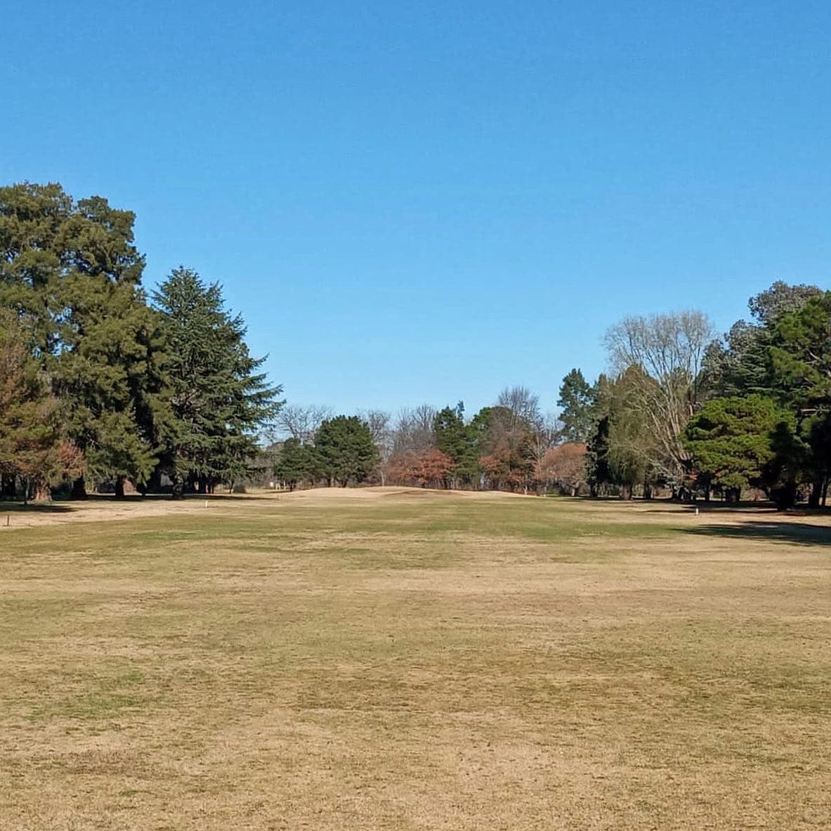 C. A. C. MERCEDES GOLF CLUB