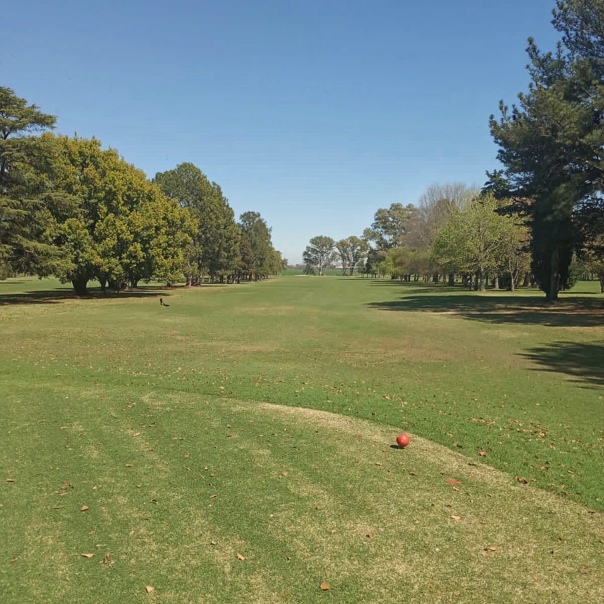 C. A. C. MERCEDES GOLF CLUB