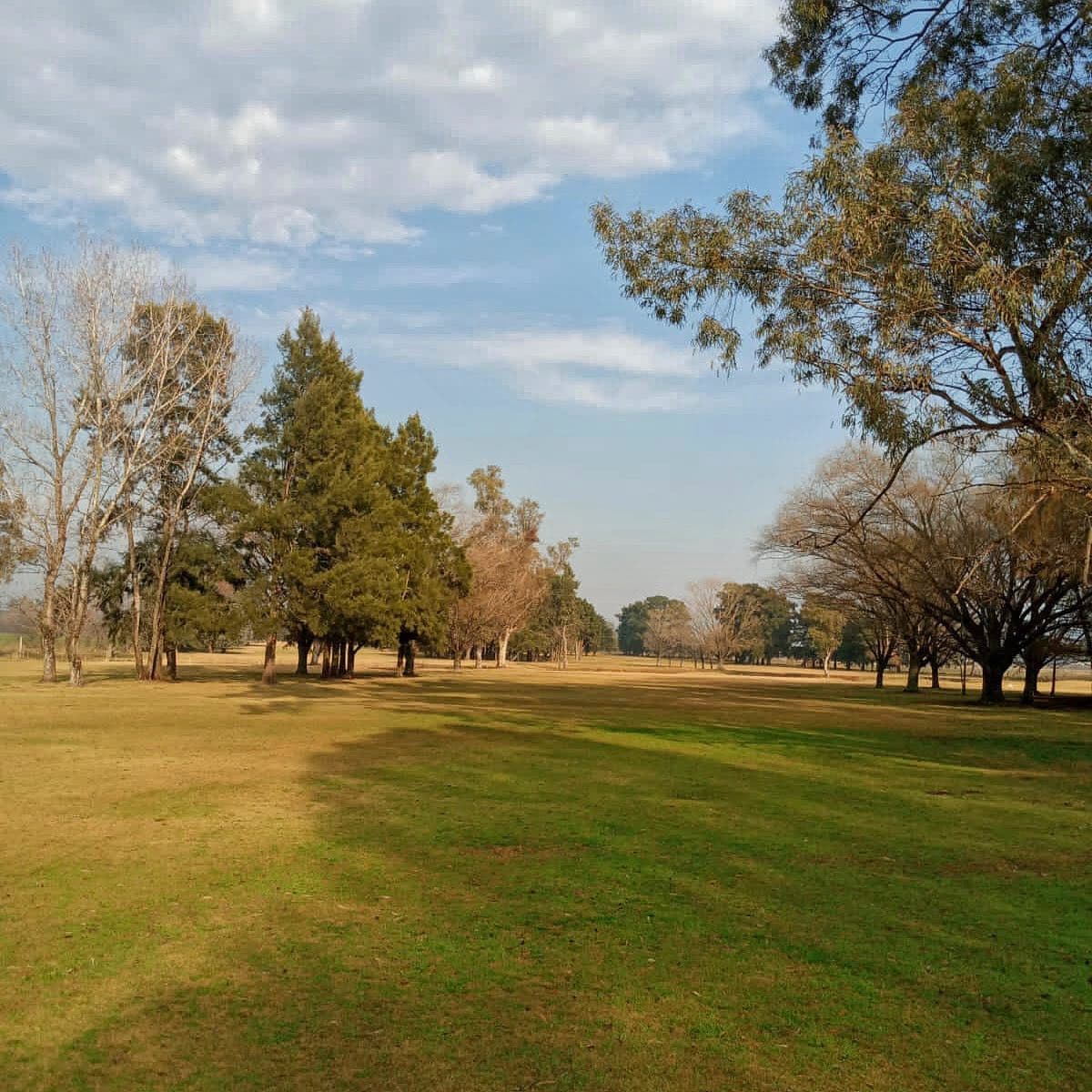 C. A. C. MERCEDES GOLF CLUB