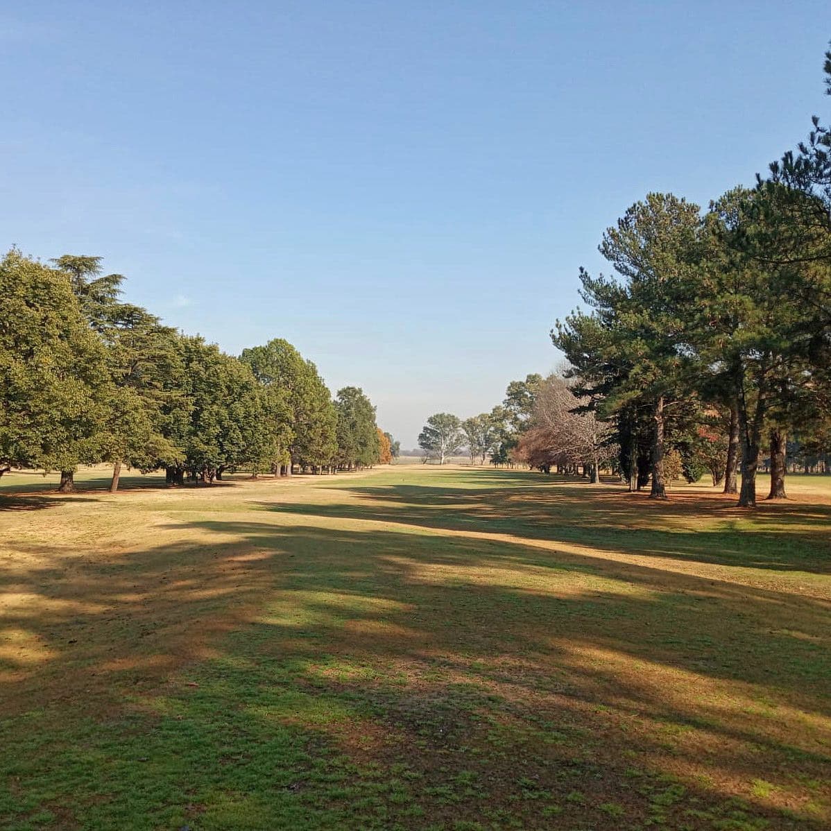 C. A. C. MERCEDES GOLF CLUB