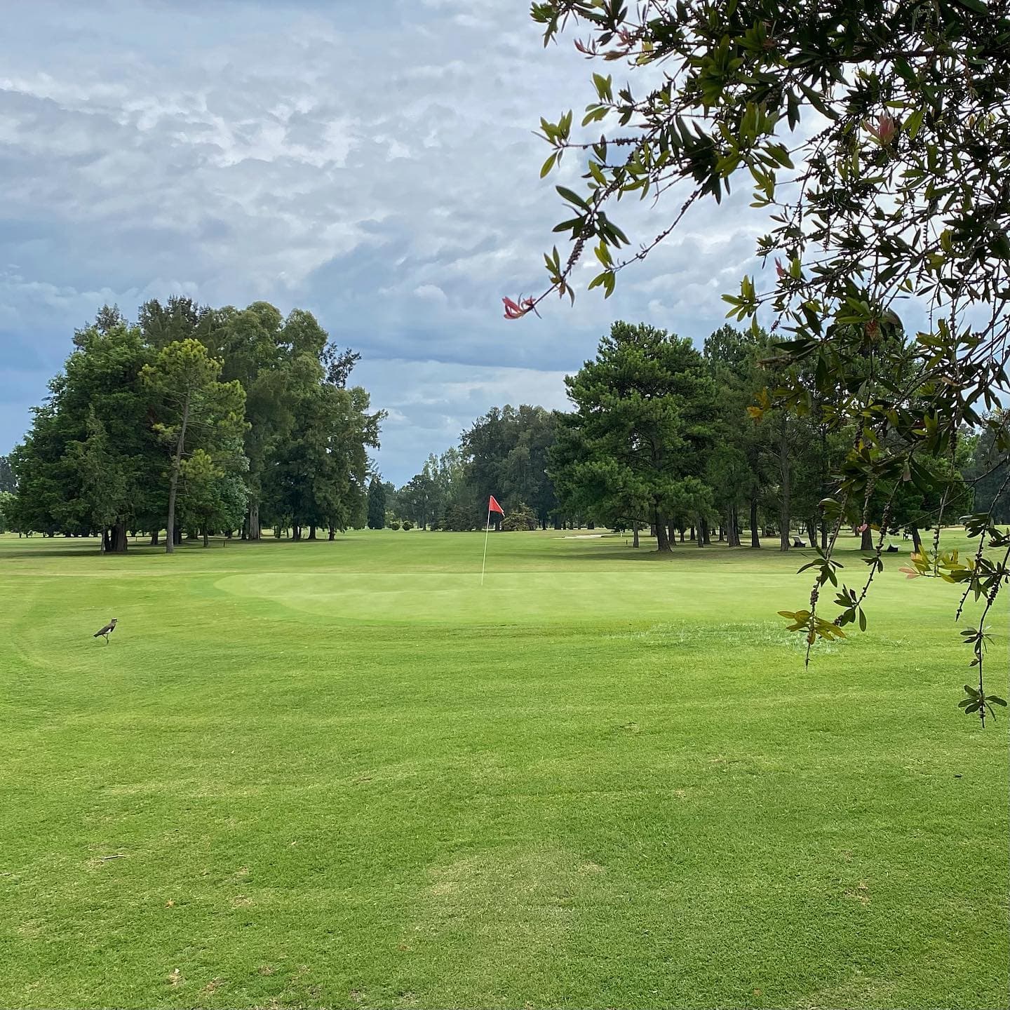 CAMPO CHICO COUNTRY CLUB