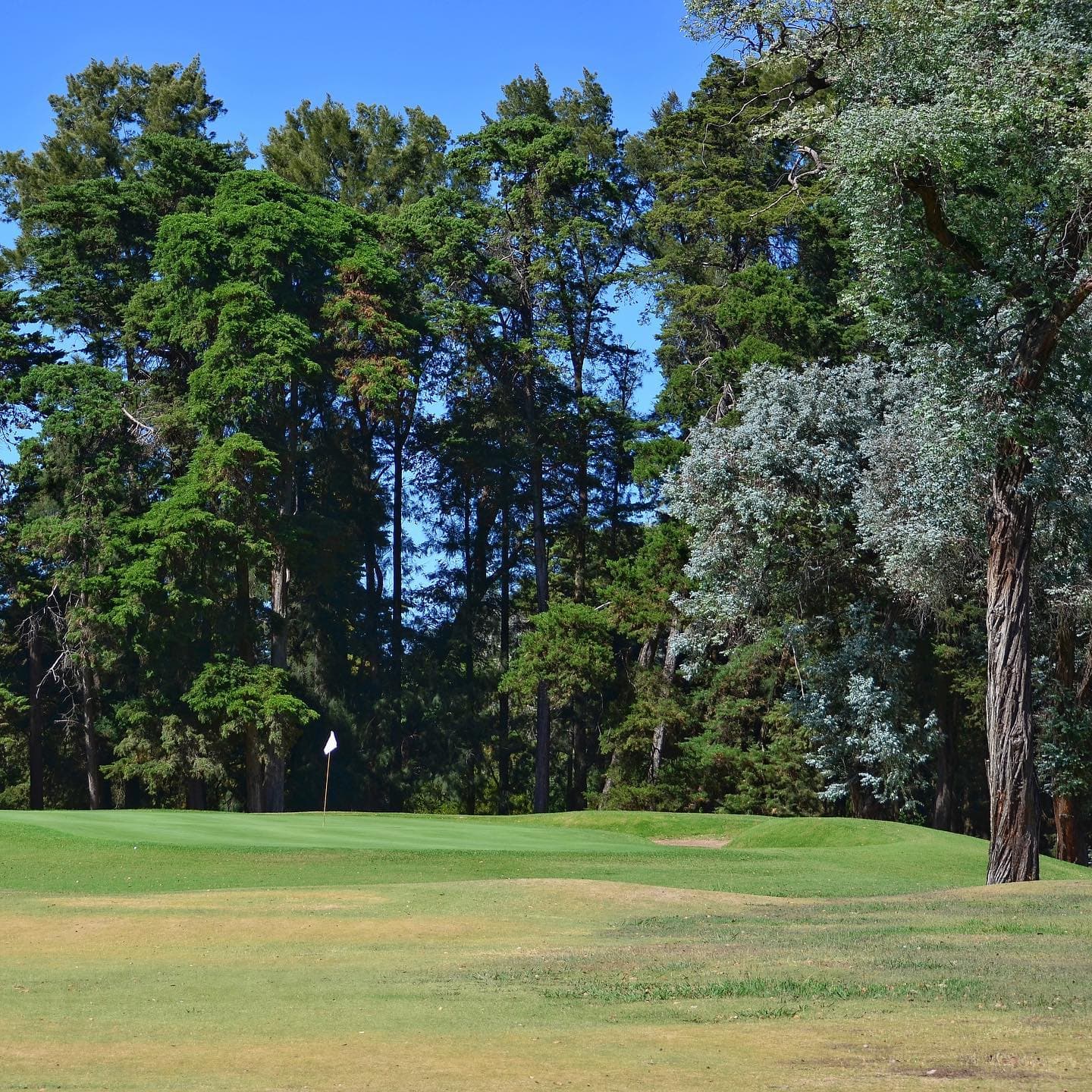 CAMPO DE GOLF LA ORQUIDEA