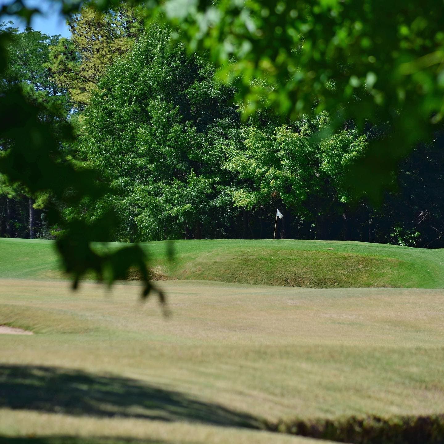 CAMPO DE GOLF LA ORQUIDEA