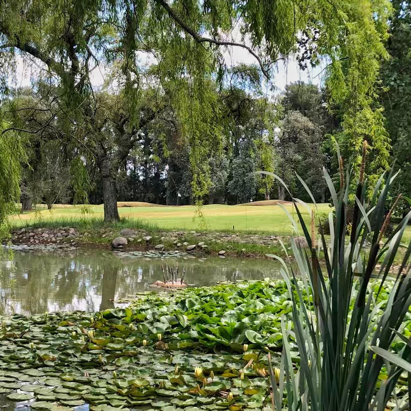 CAMPO DE GOLF LA ORQUIDEA