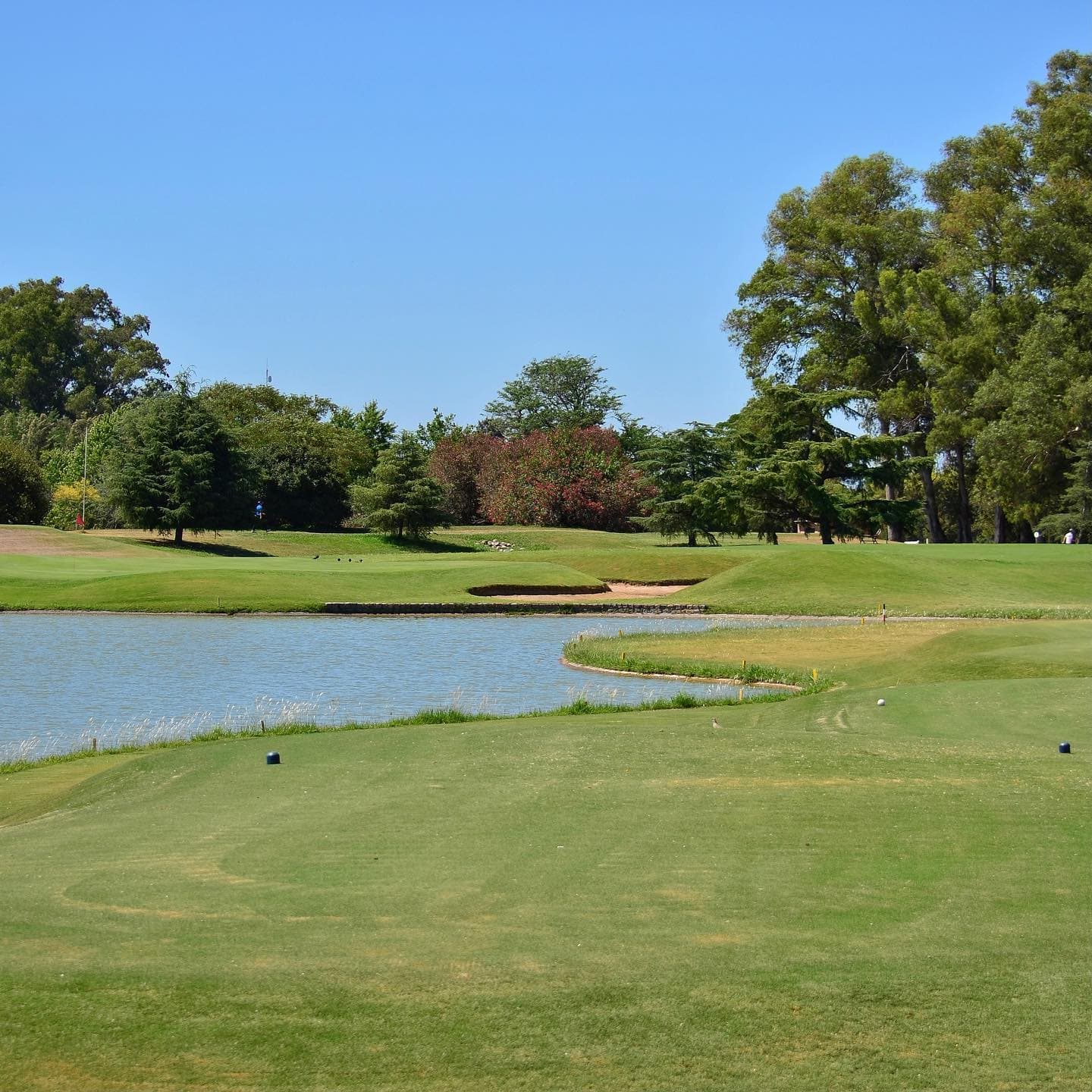 CAMPO DE GOLF LA ORQUIDEA