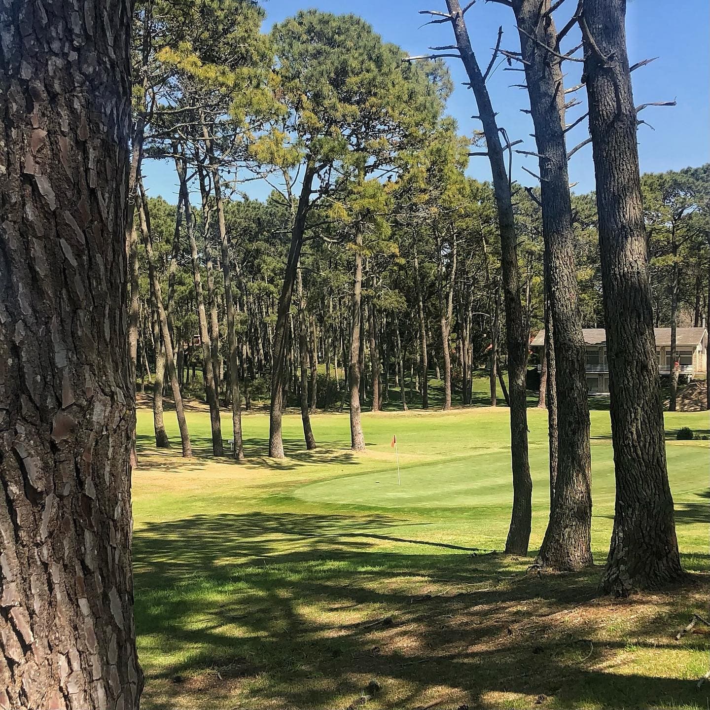 CARILO GOLF CLUB