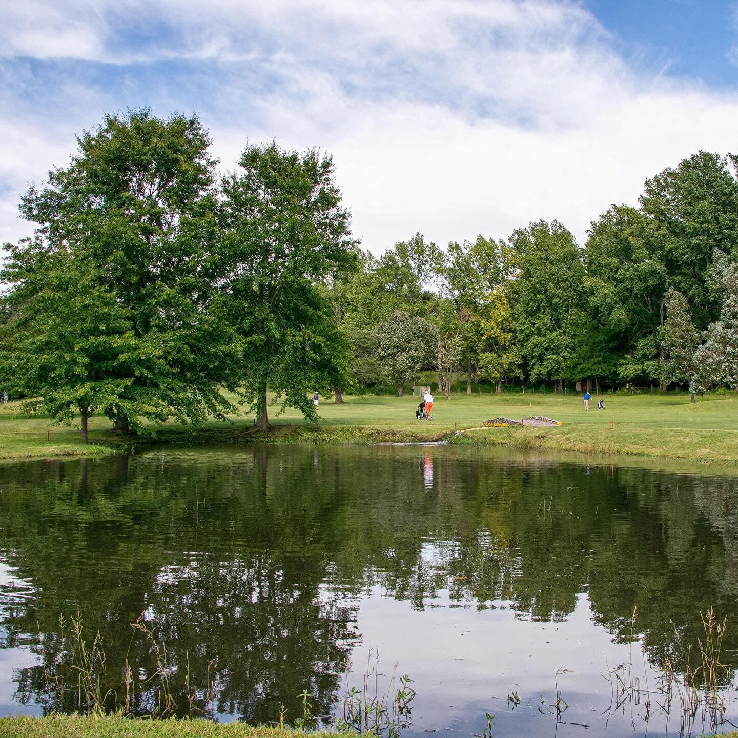 CIRCULO DE LA FUERZA AEREA