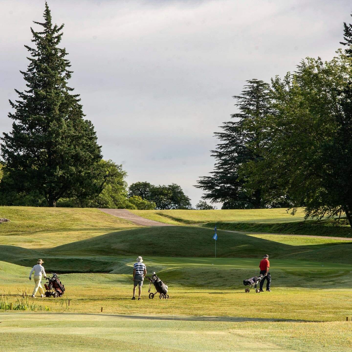 CIRCULO DE LA FUERZA AEREA