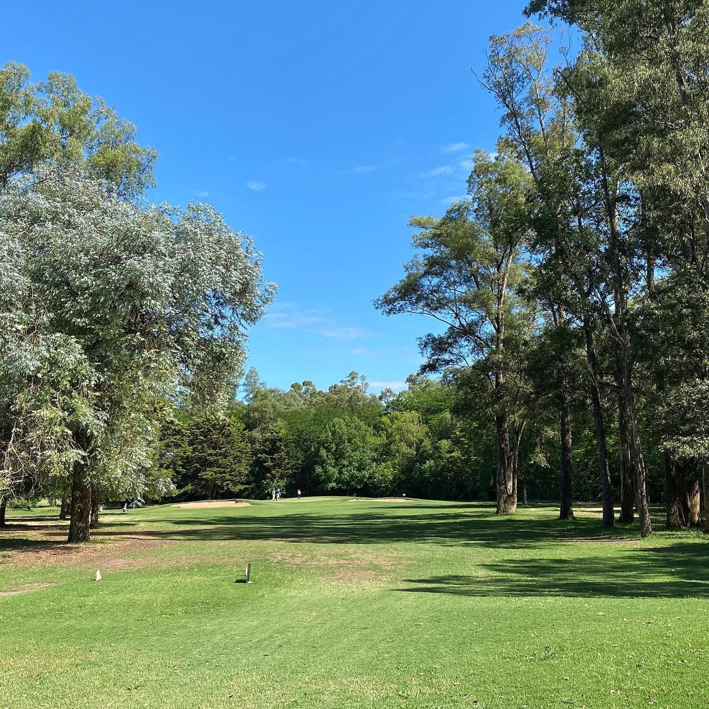 Circulo De La Fuerza Aerea