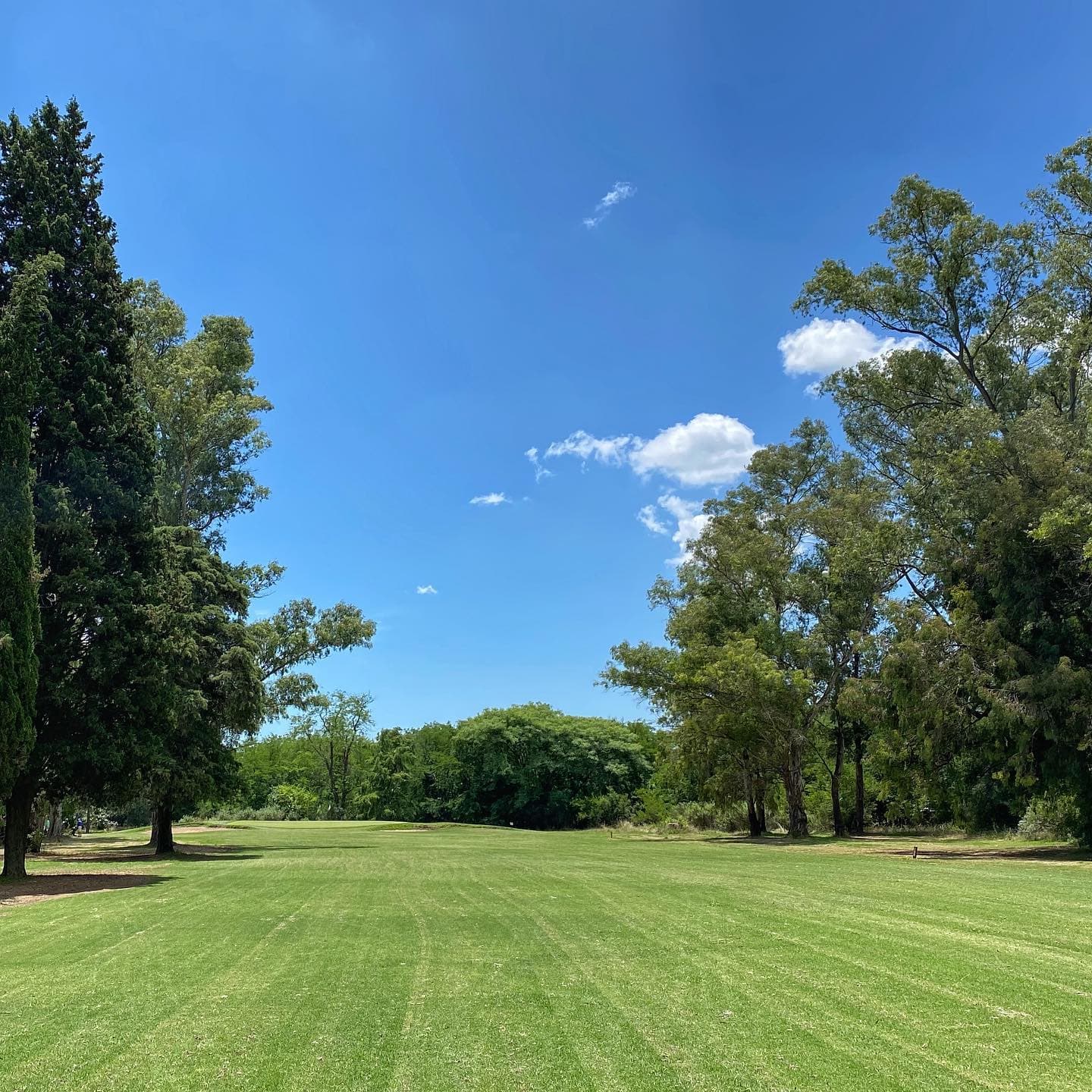 Circulo De La Fuerza Aerea