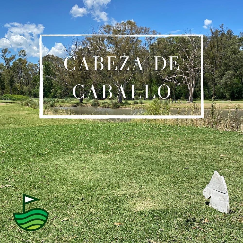 Circulo De La Fuerza Aerea