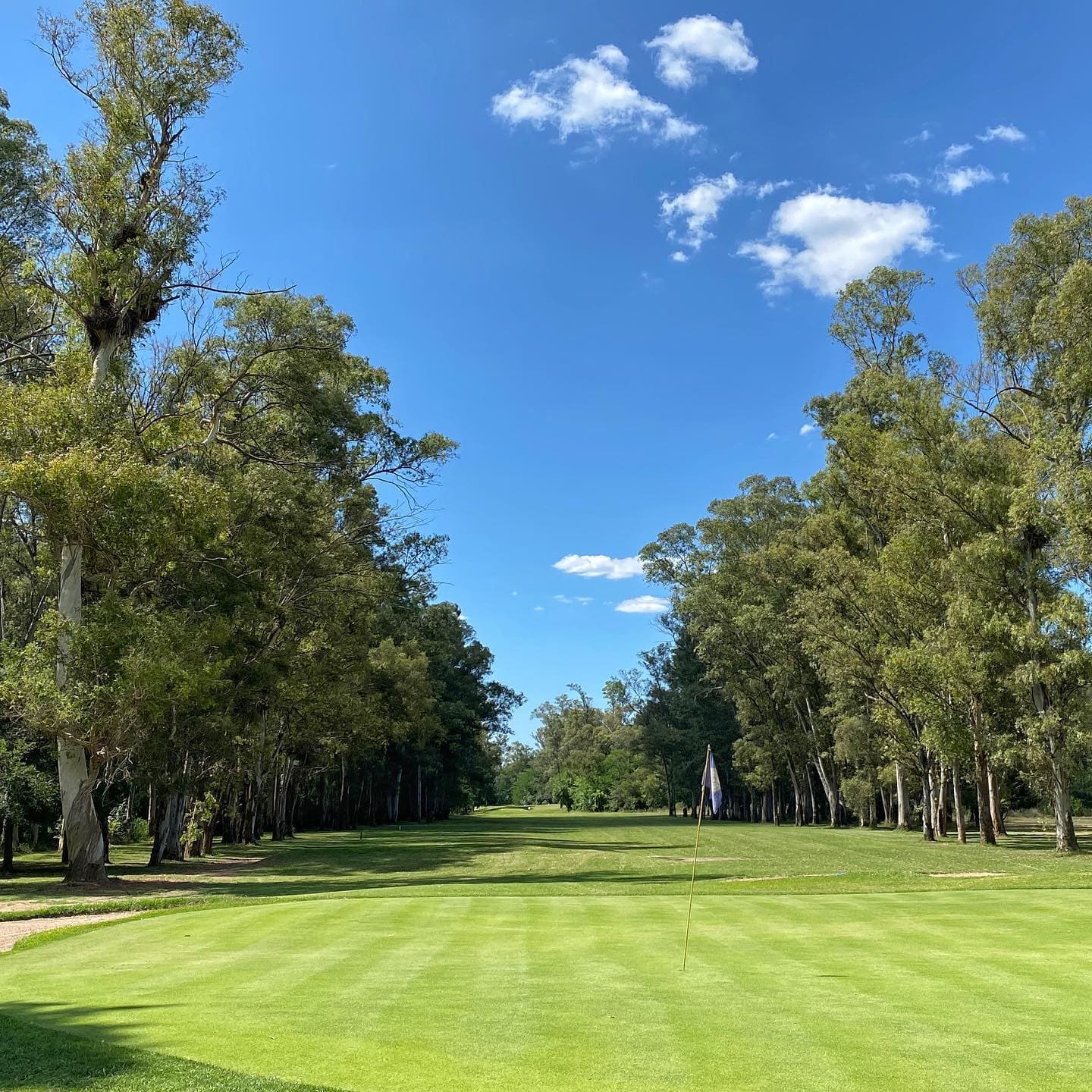 Circulo De La Fuerza Aerea