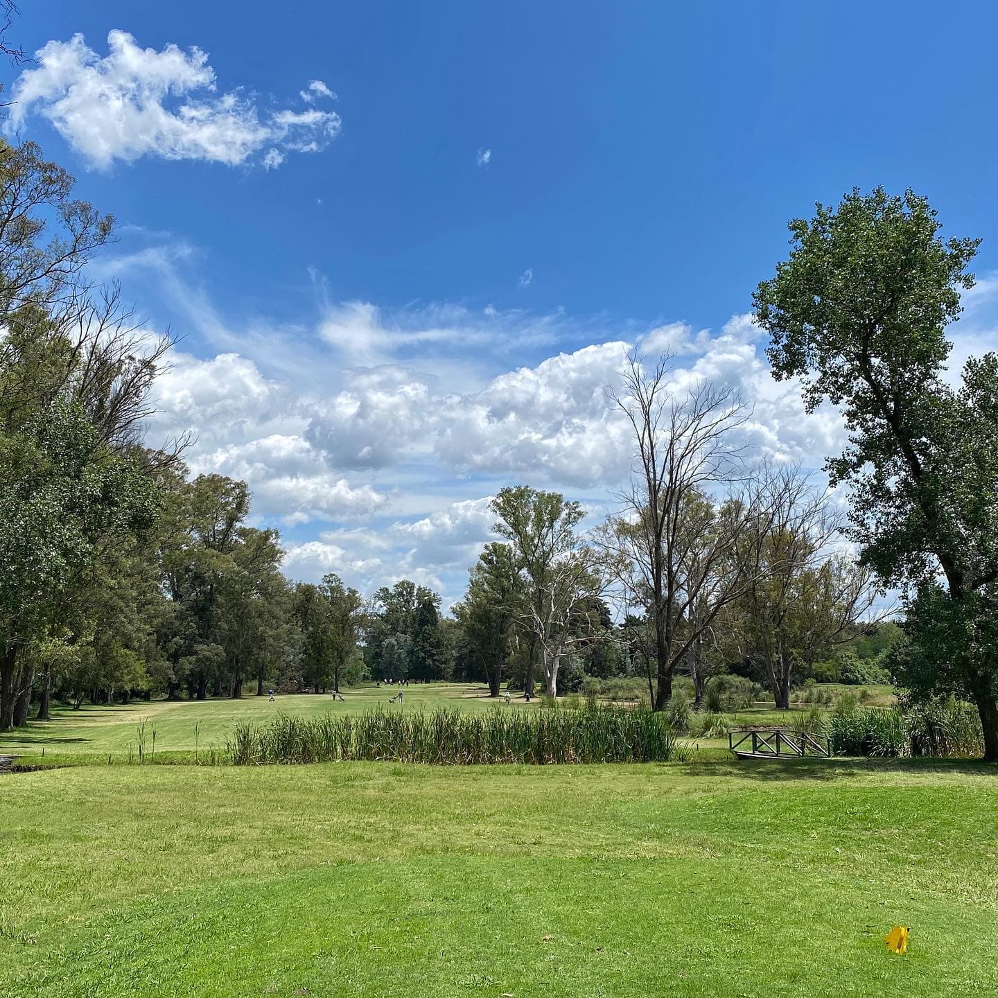 Circulo De La Fuerza Aerea