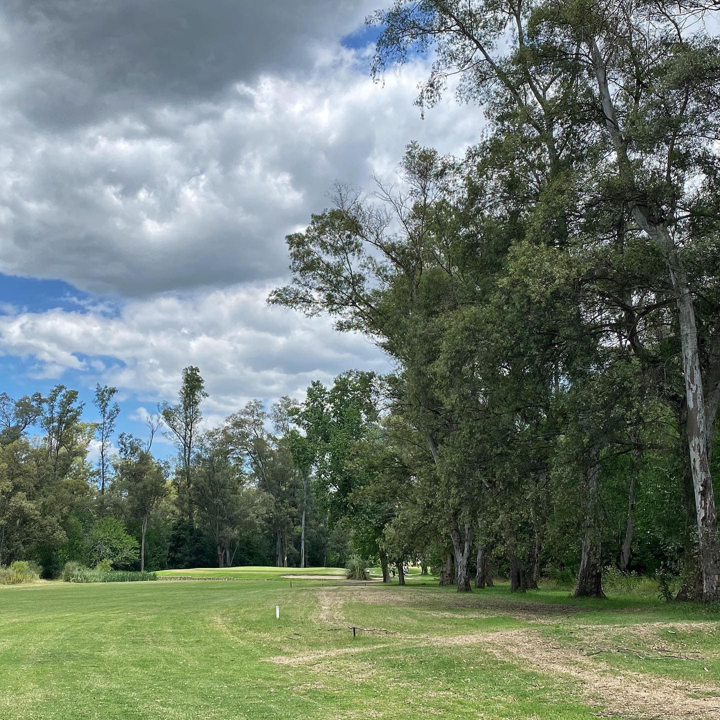 Circulo De La Fuerza Aerea