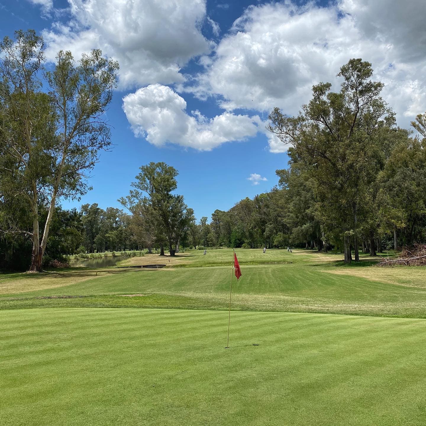 Circulo De La Fuerza Aerea