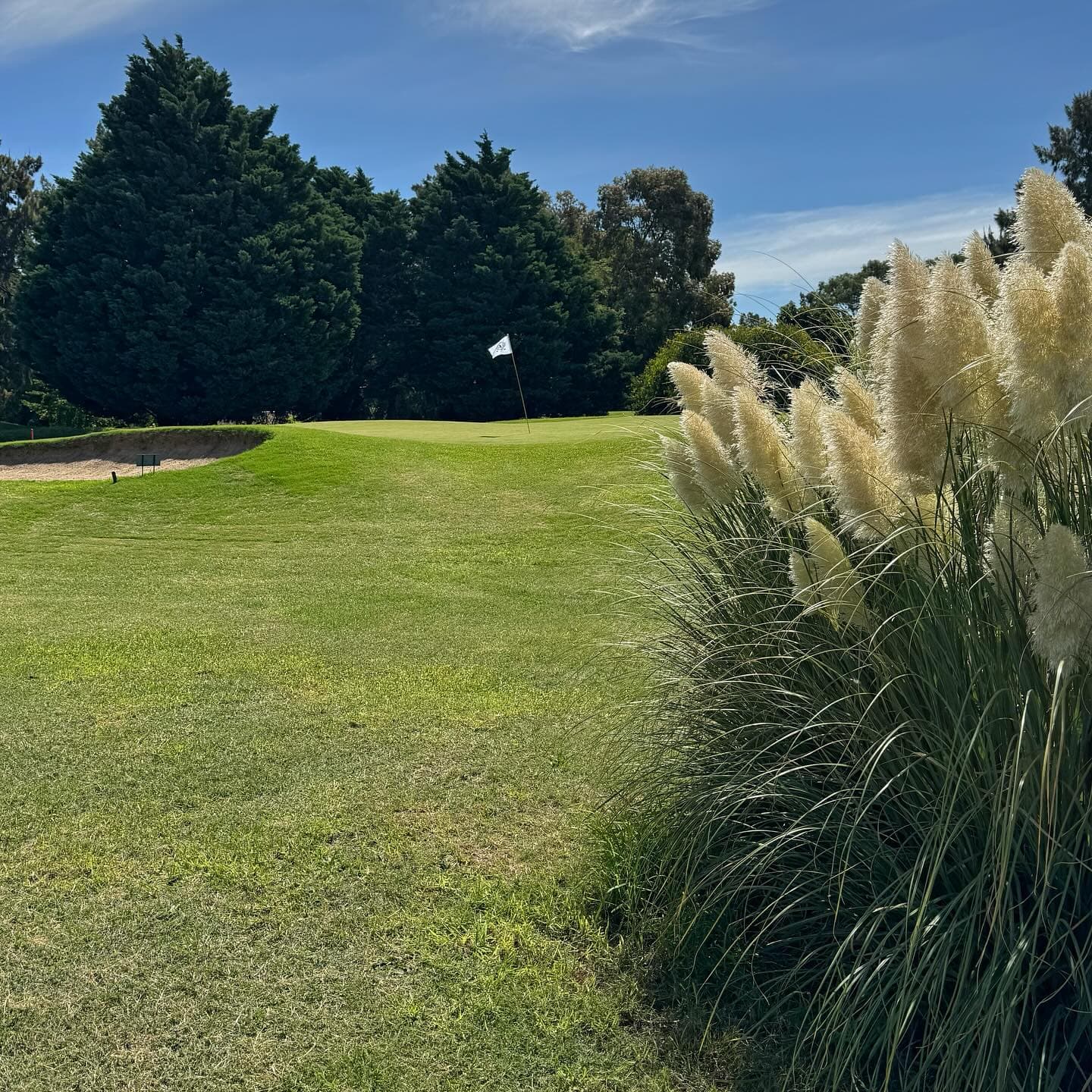 CIRCULO POLICIA FEDERAL