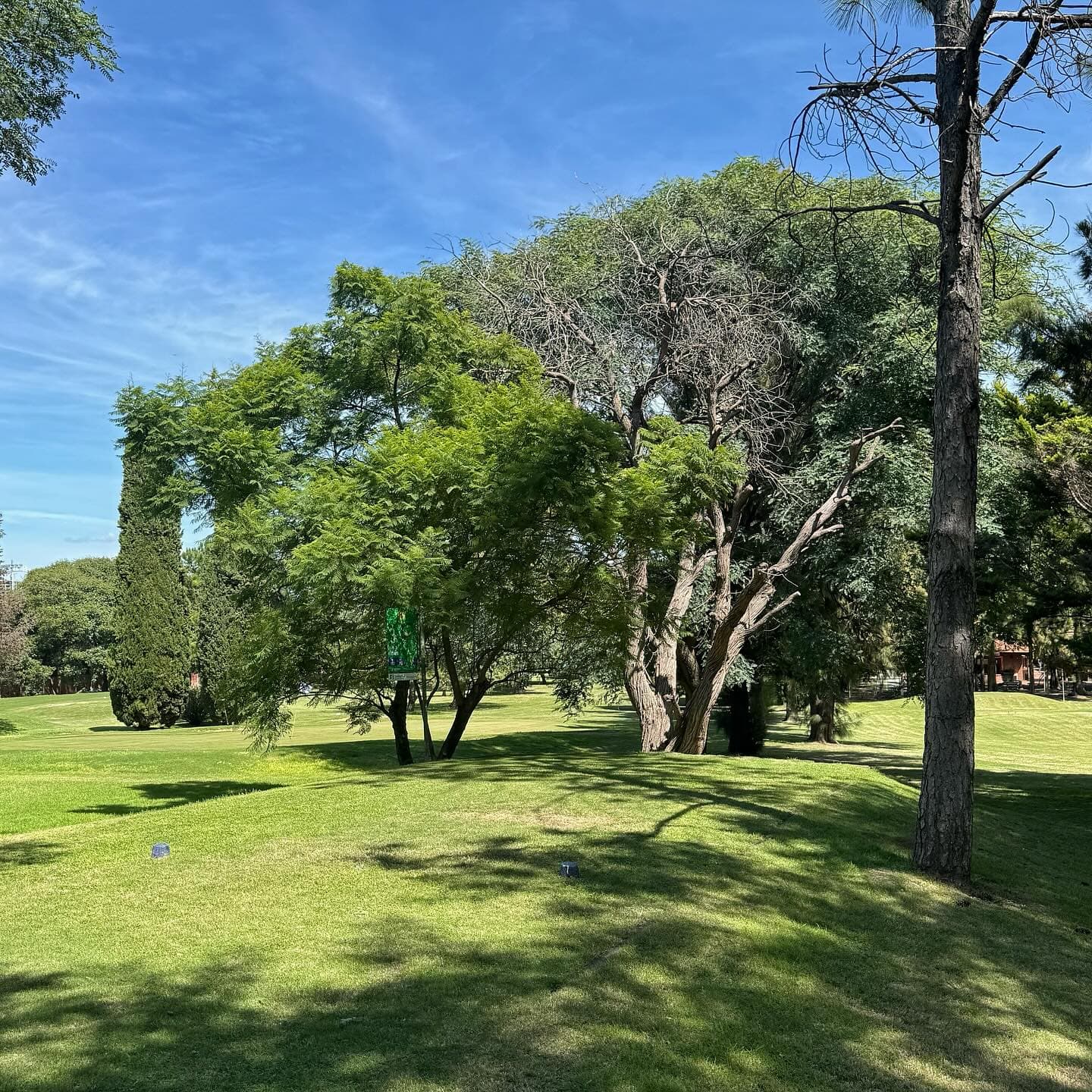 CIRCULO POLICIA FEDERAL