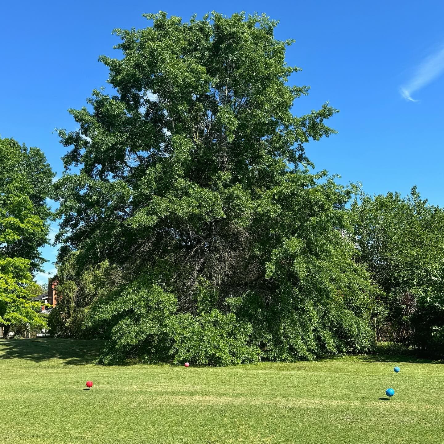 CLUB AT. BCO. PROVINCIA DE BS. AS.