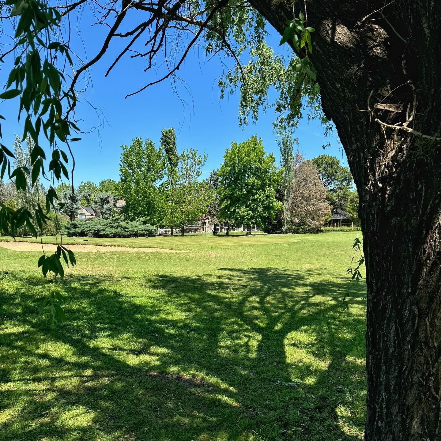 CLUB AT. BCO. PROVINCIA DE BS. AS.