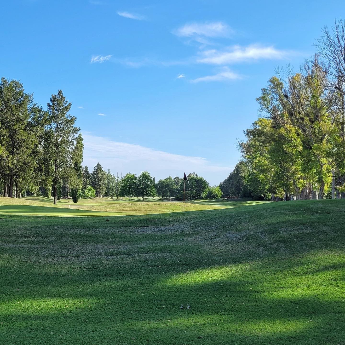 CLUB AT. ESTUDIANTES DE LA PLATA
