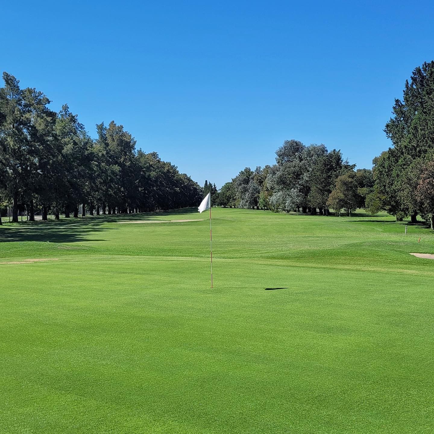 CLUB AT. ESTUDIANTES DE LA PLATA