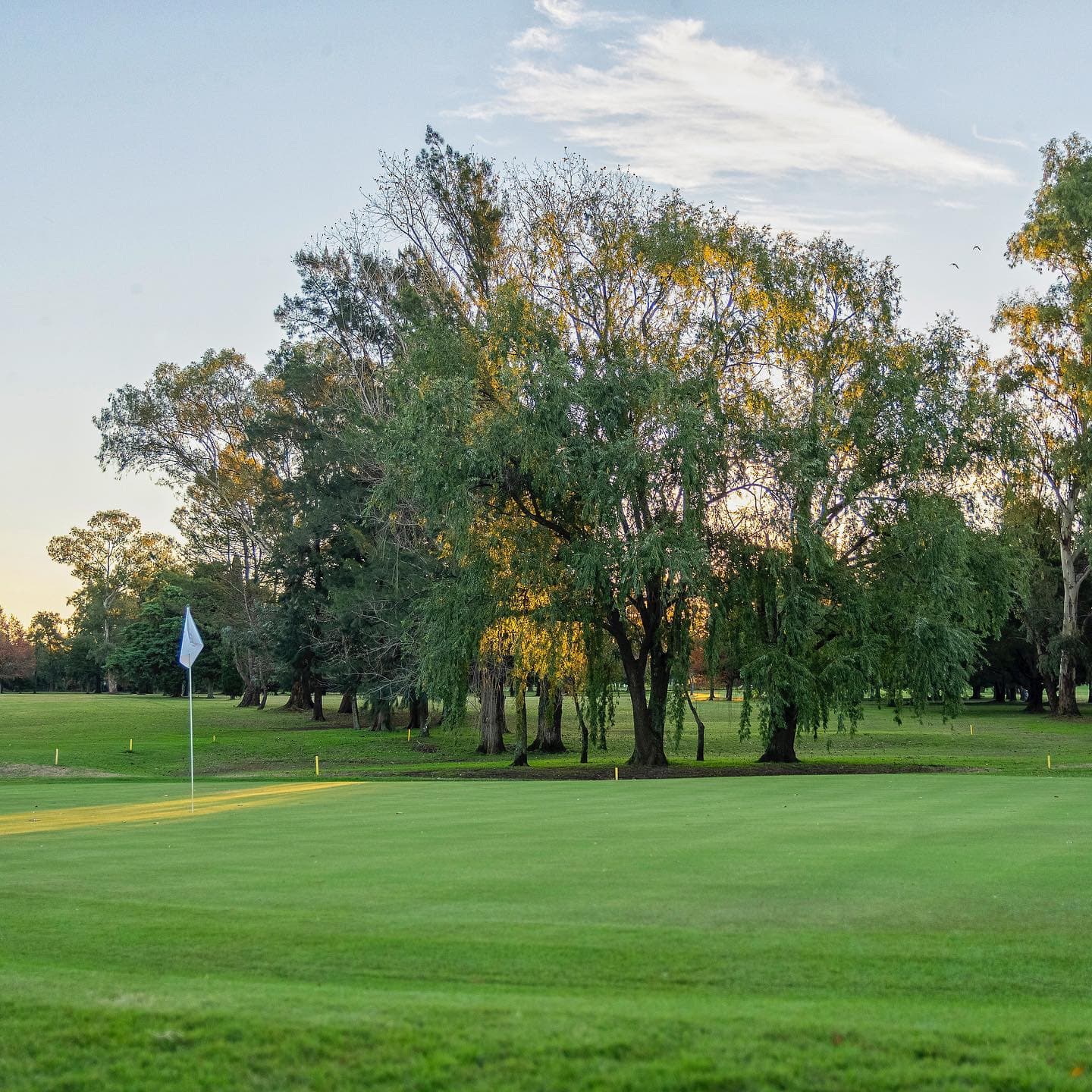 CLUB AT. ESTUDIANTES DE LA PLATA
