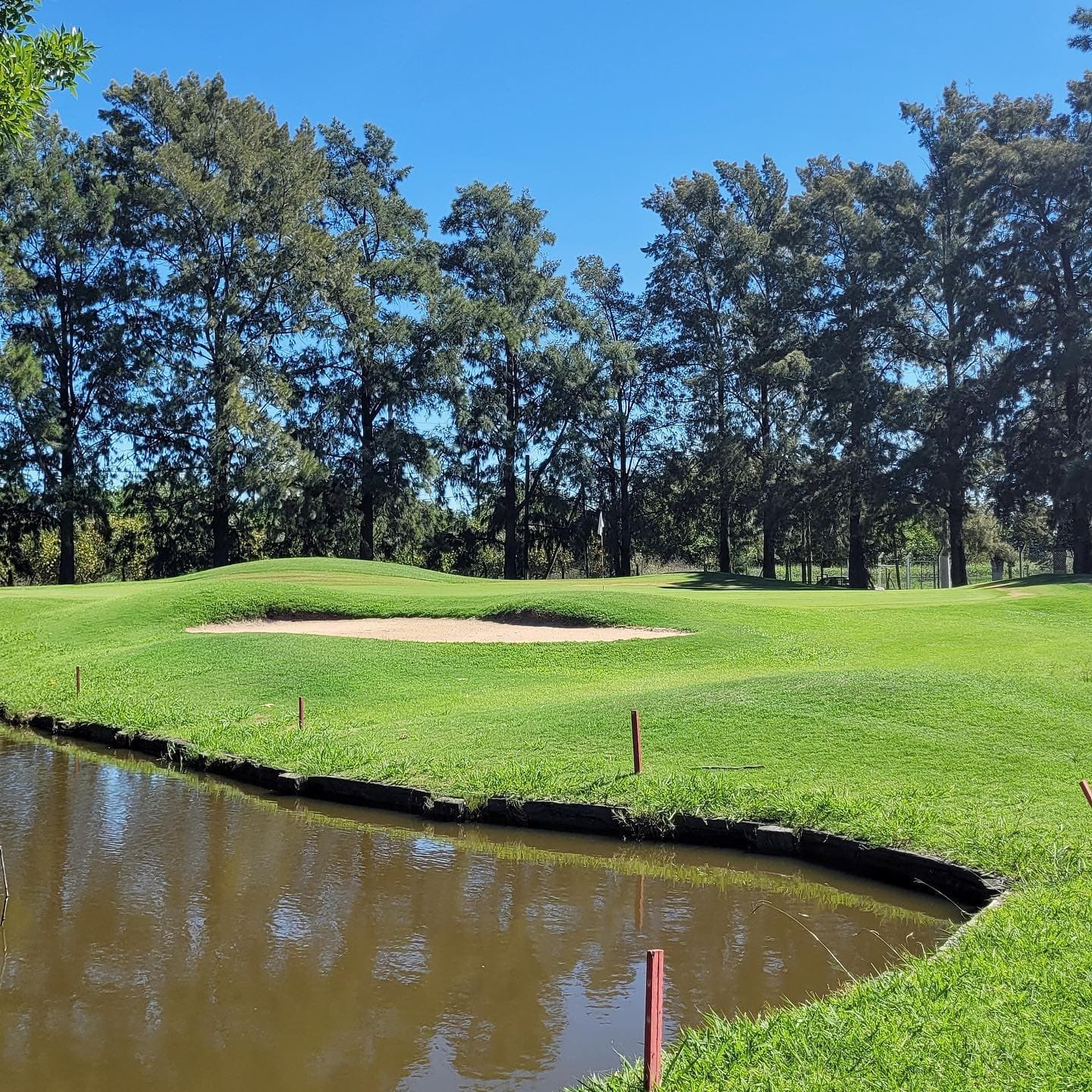 CLUB AT. ESTUDIANTES DE LA PLATA