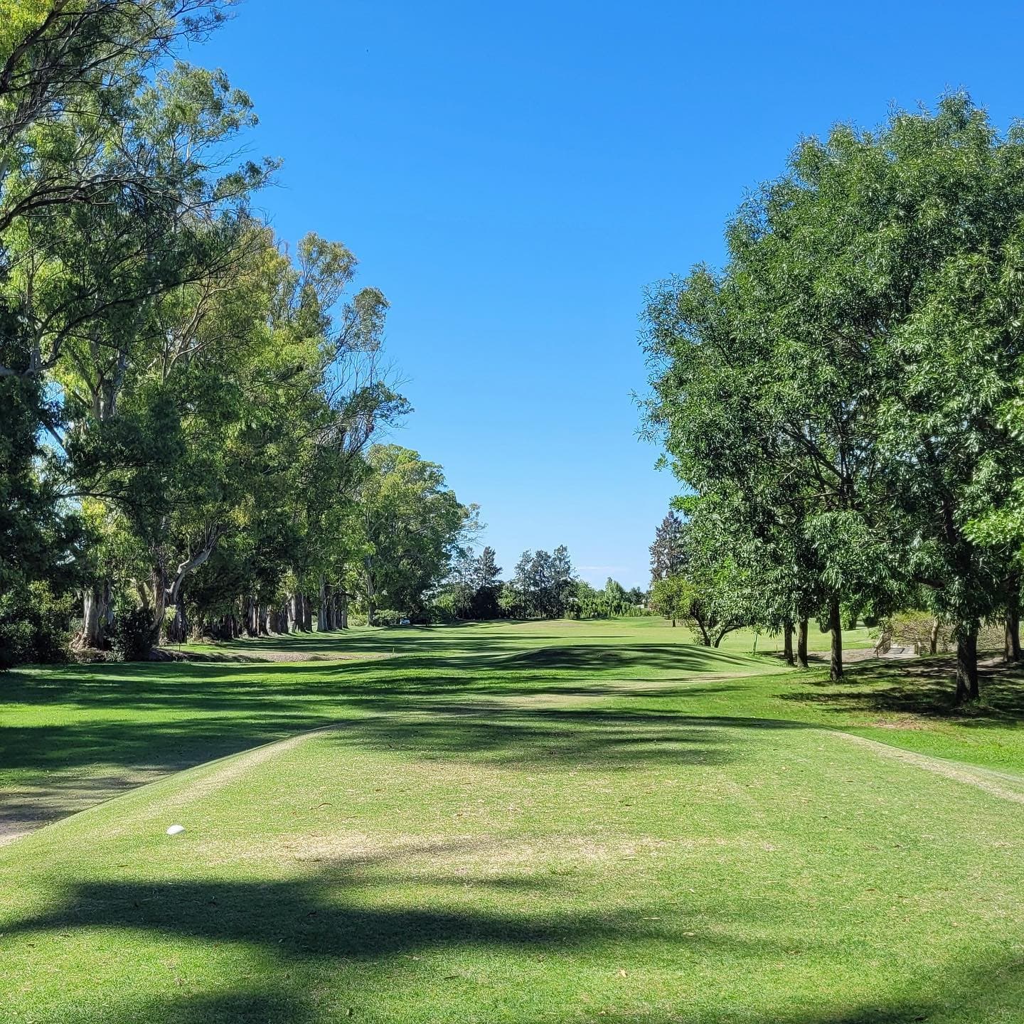 CLUB AT. ESTUDIANTES DE LA PLATA