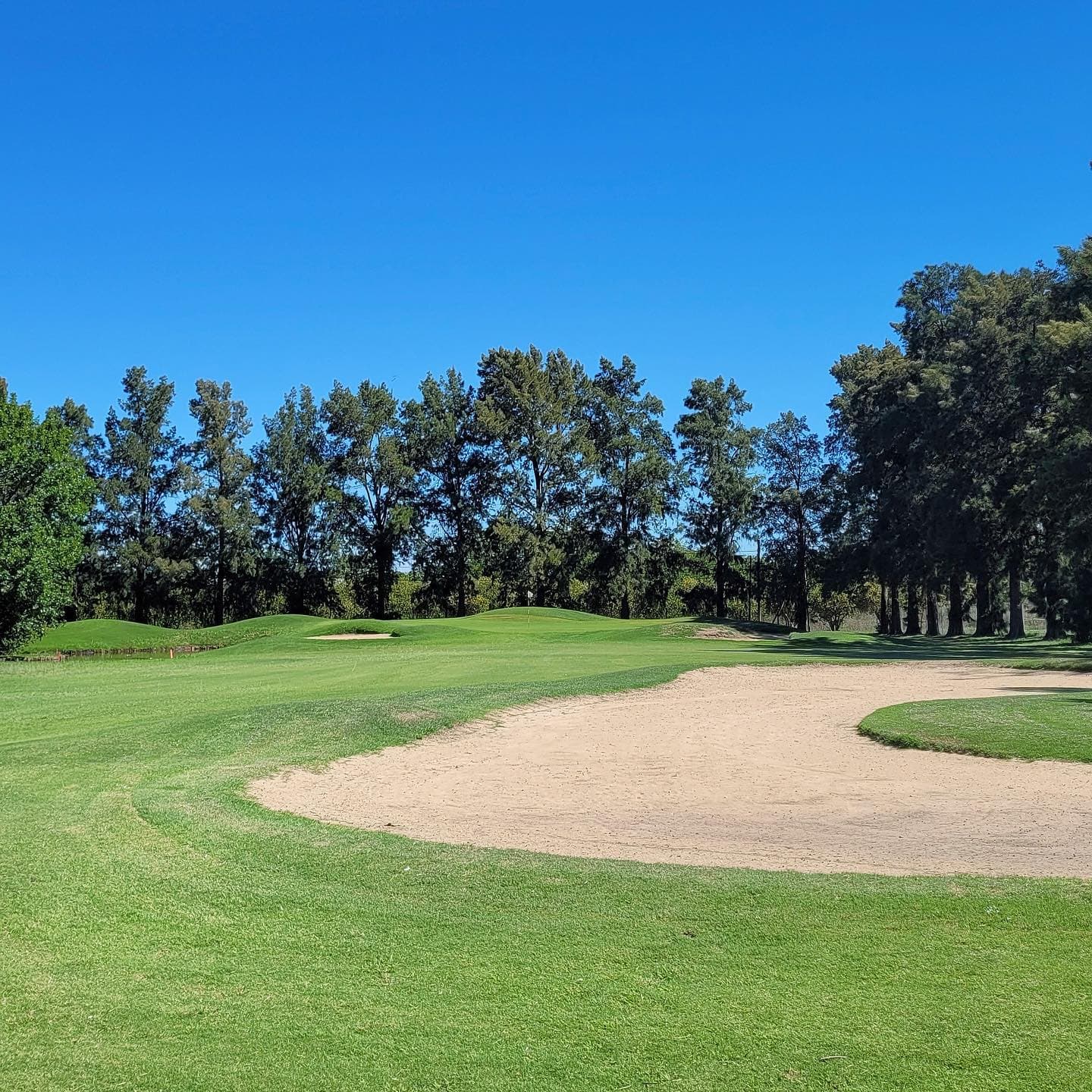 CLUB AT. ESTUDIANTES DE LA PLATA