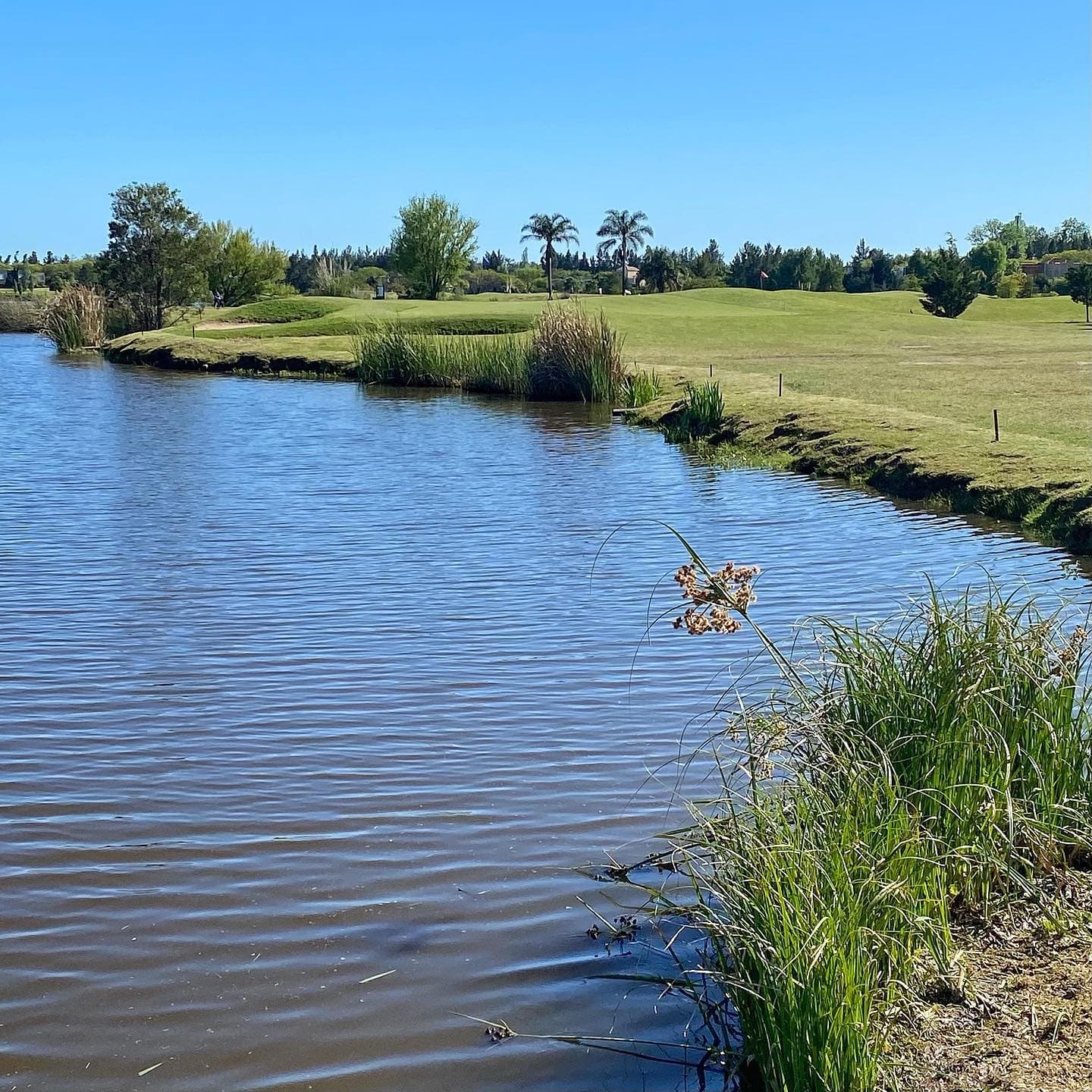 Club Atletico De San Isidro