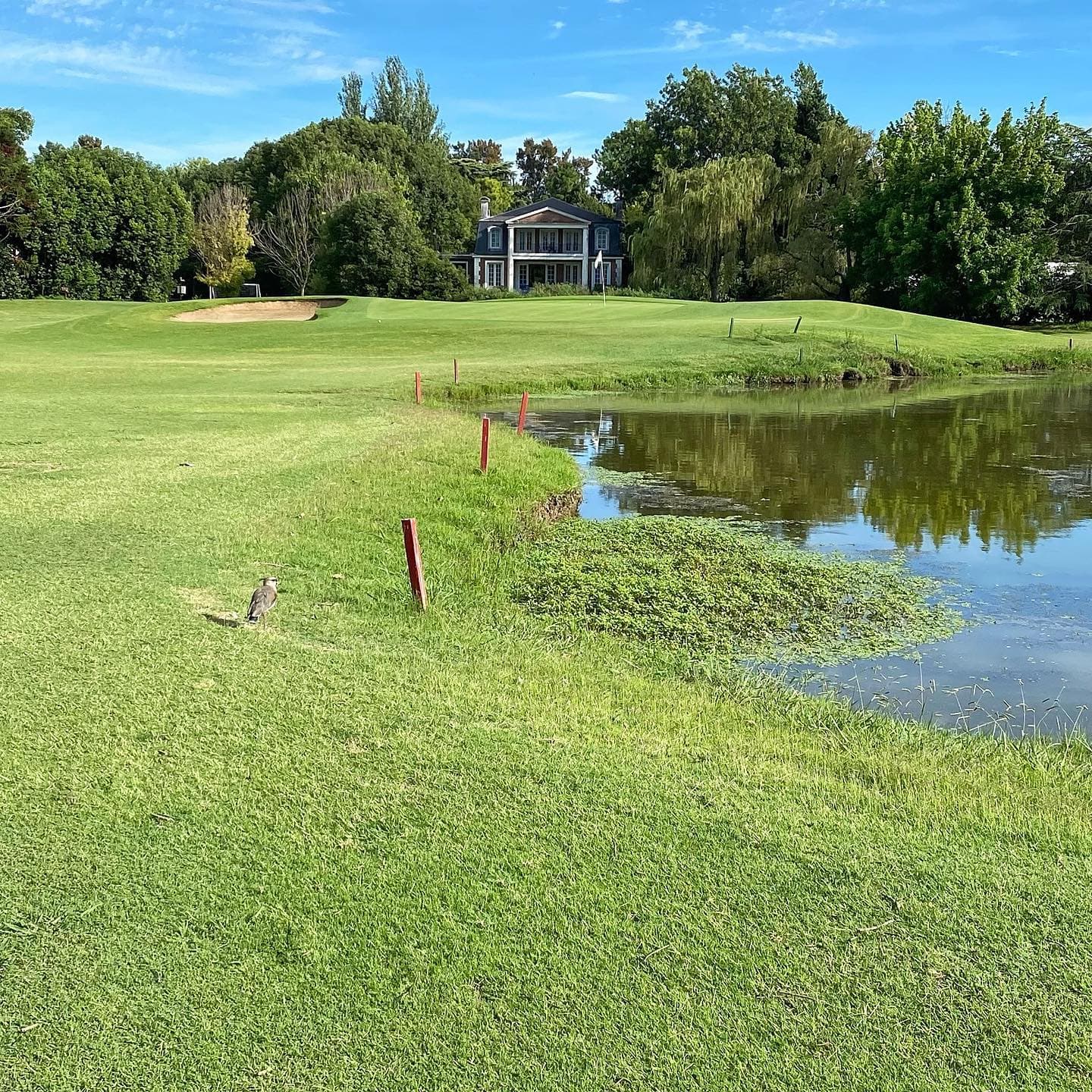 CLUB DE CAMPO ARMENIA