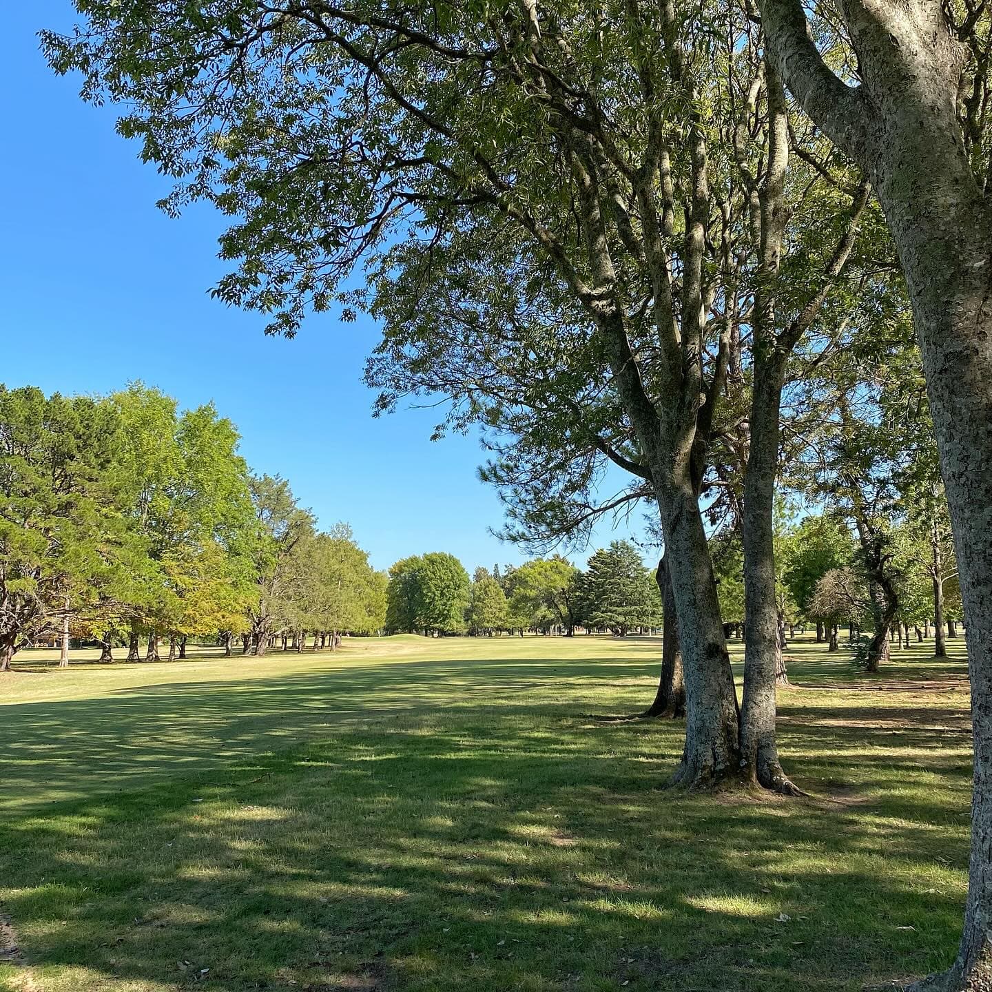 CLUB DE CAMPO LA MARTONA