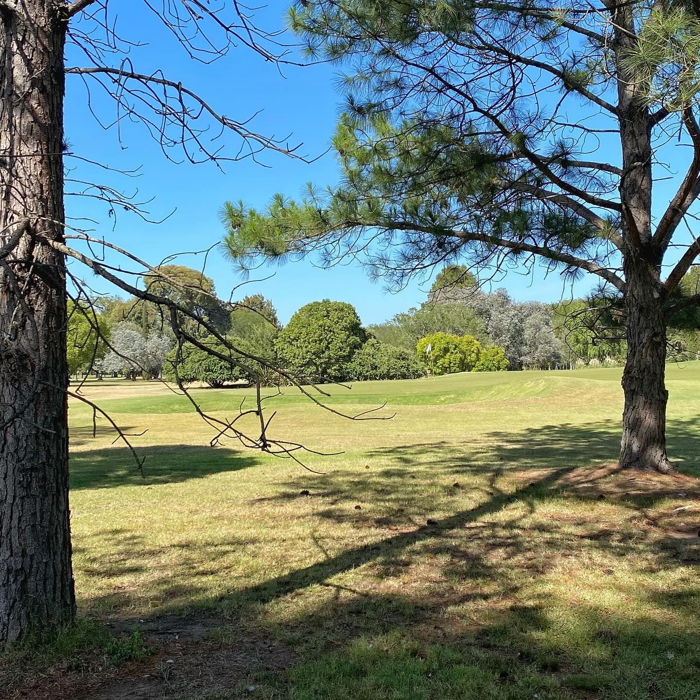 CLUB DE CAMPO LA MARTONA