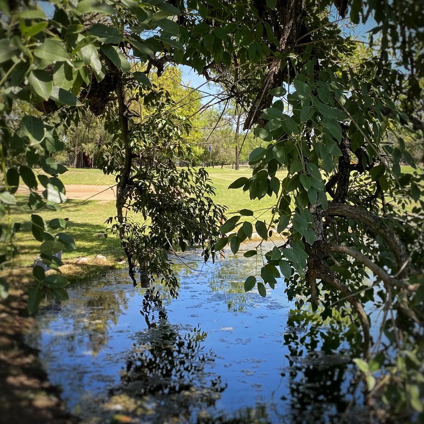 CLUB DE CAMPO LA MARTONA