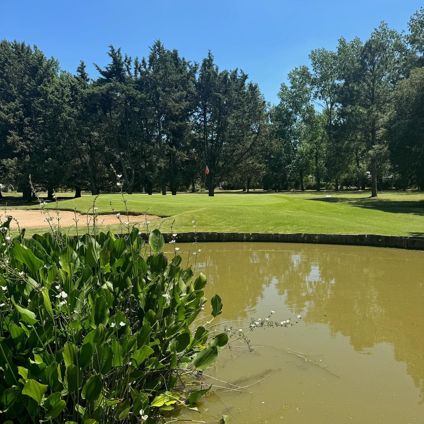 CLUB DE CAMPO LA TRADICION