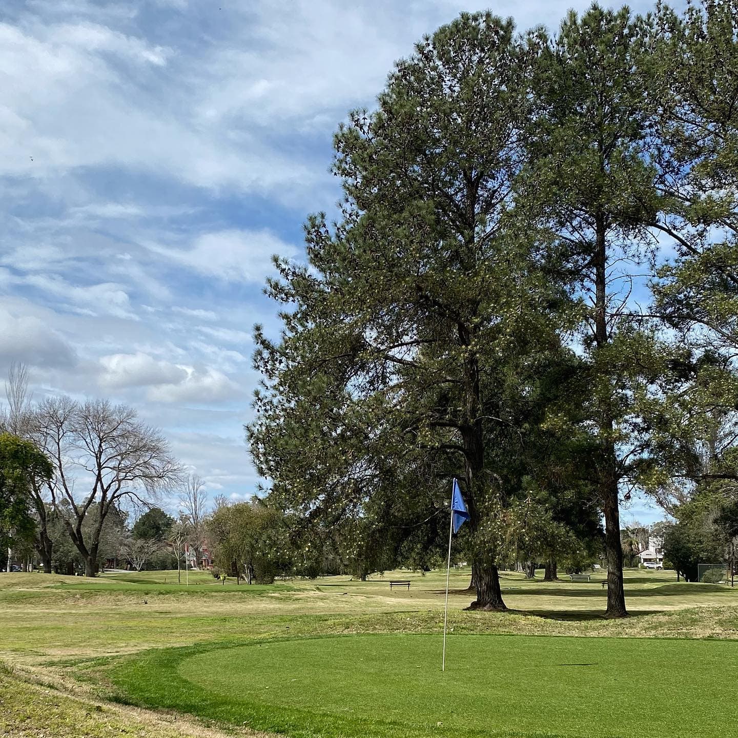 CLUB DE CAMPO LOS HORNEROS