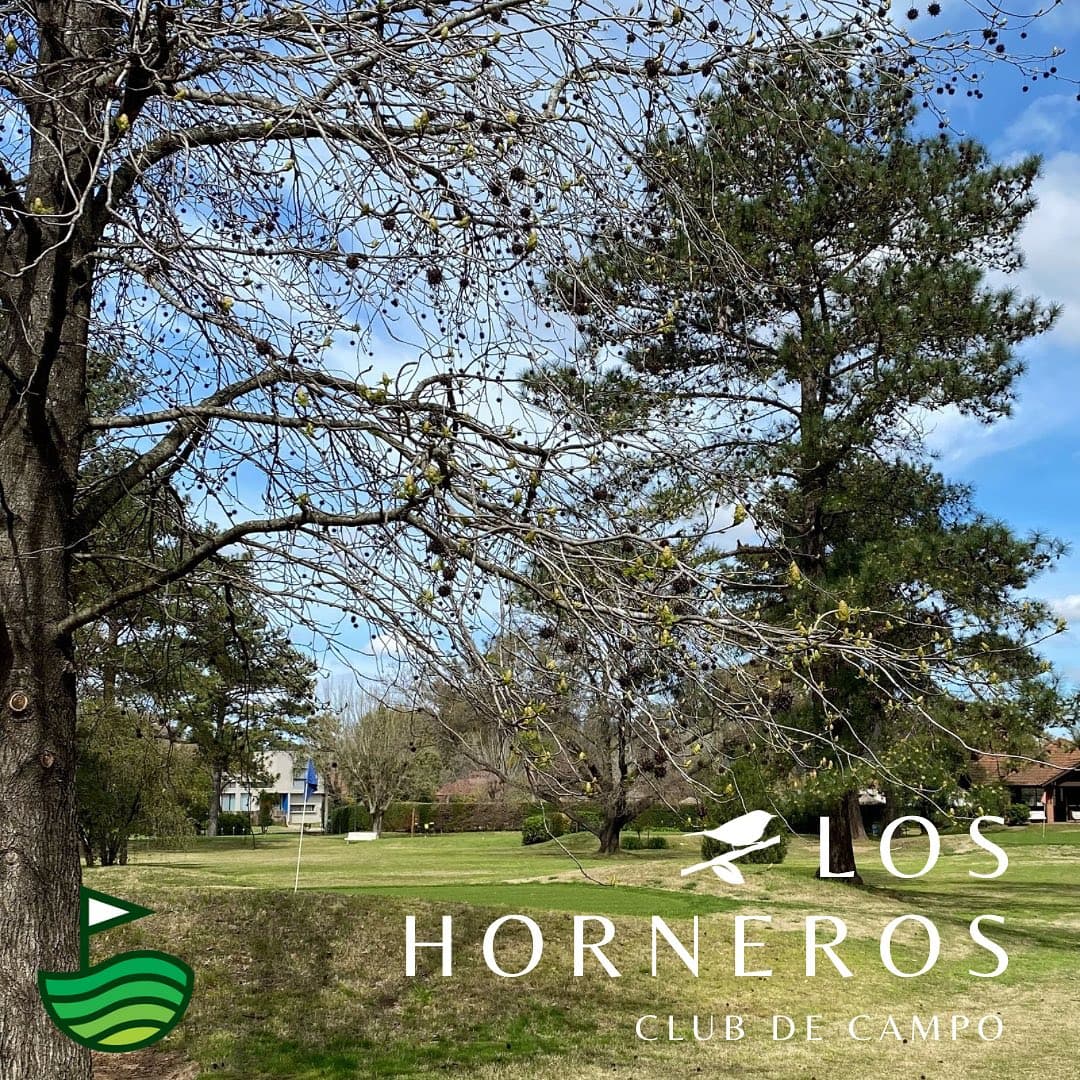 CLUB DE CAMPO LOS HORNEROS