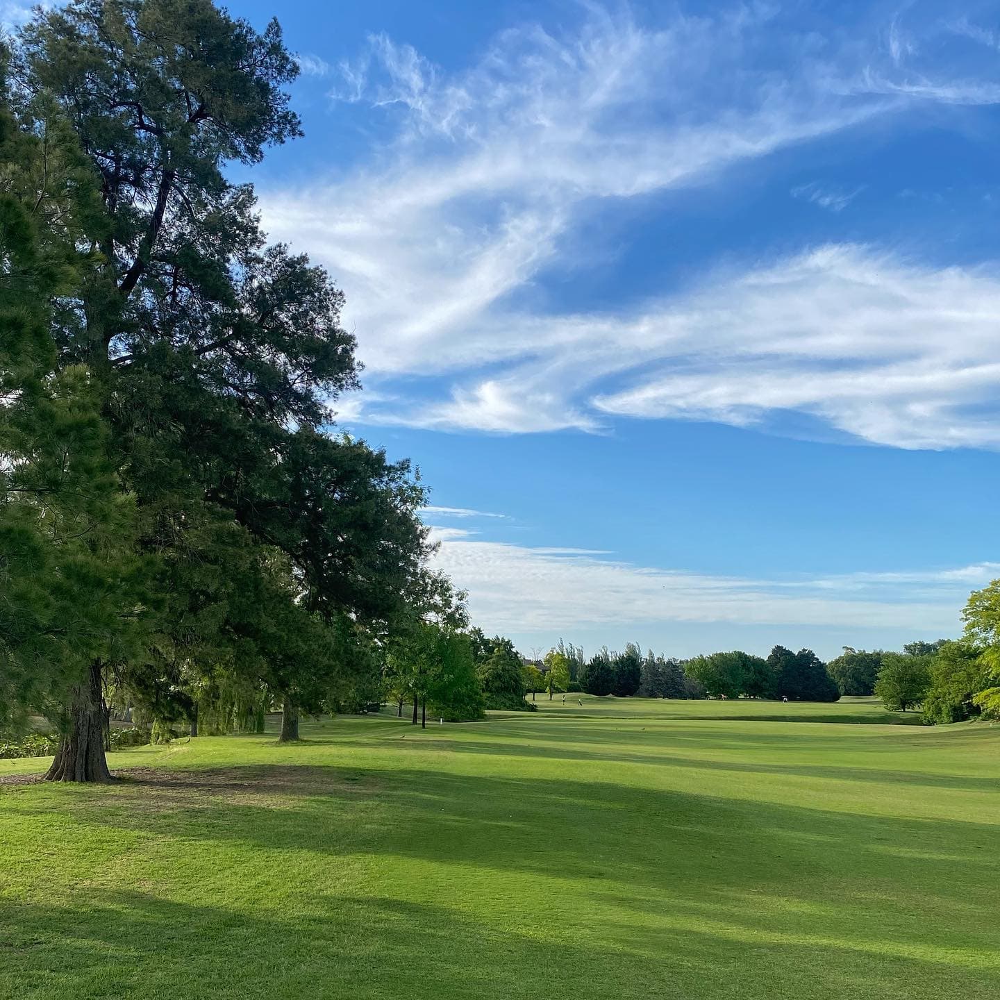 CLUB DE CAMPO LOS PINGÜINOS