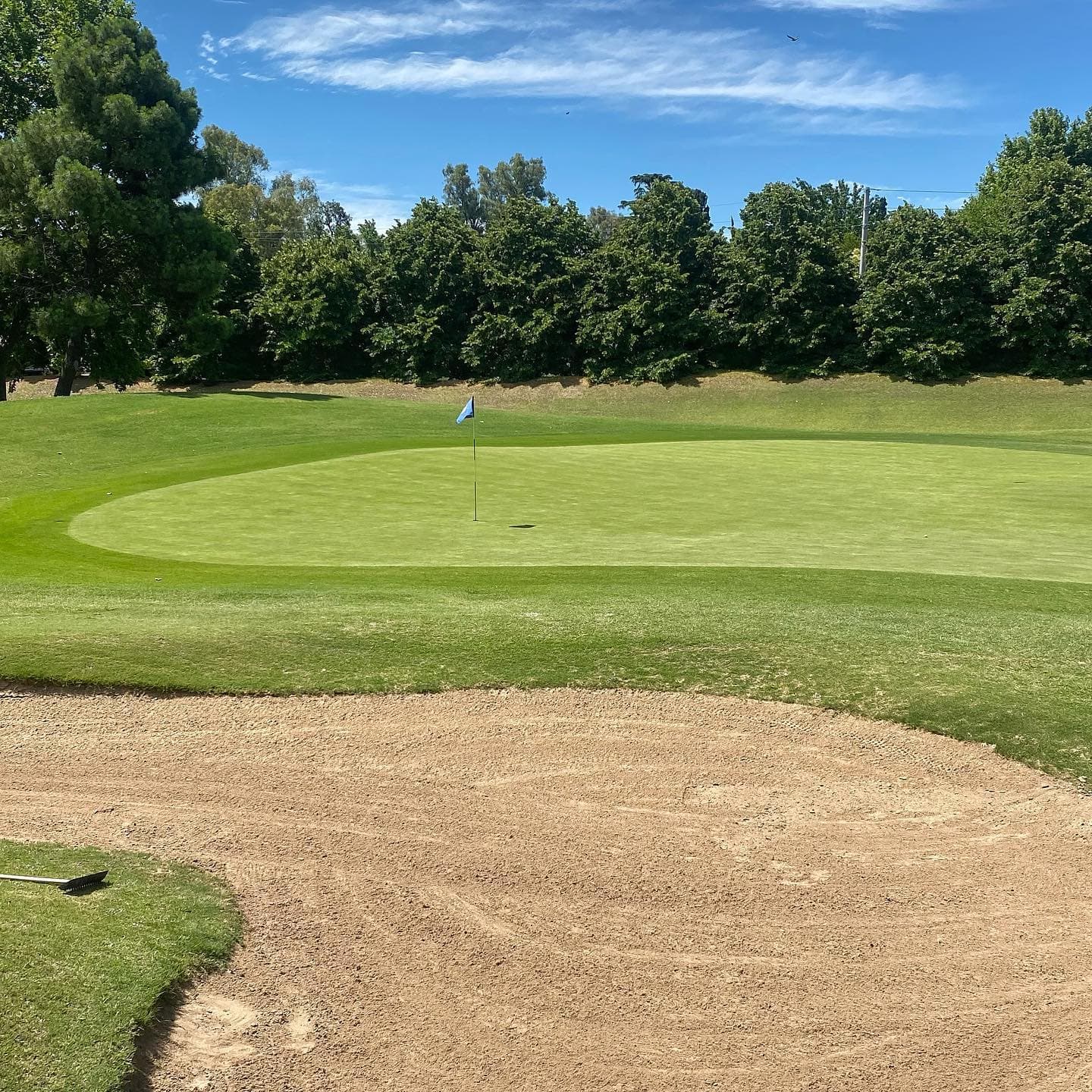 CLUB DE CAMPO LOS PINGÜINOS