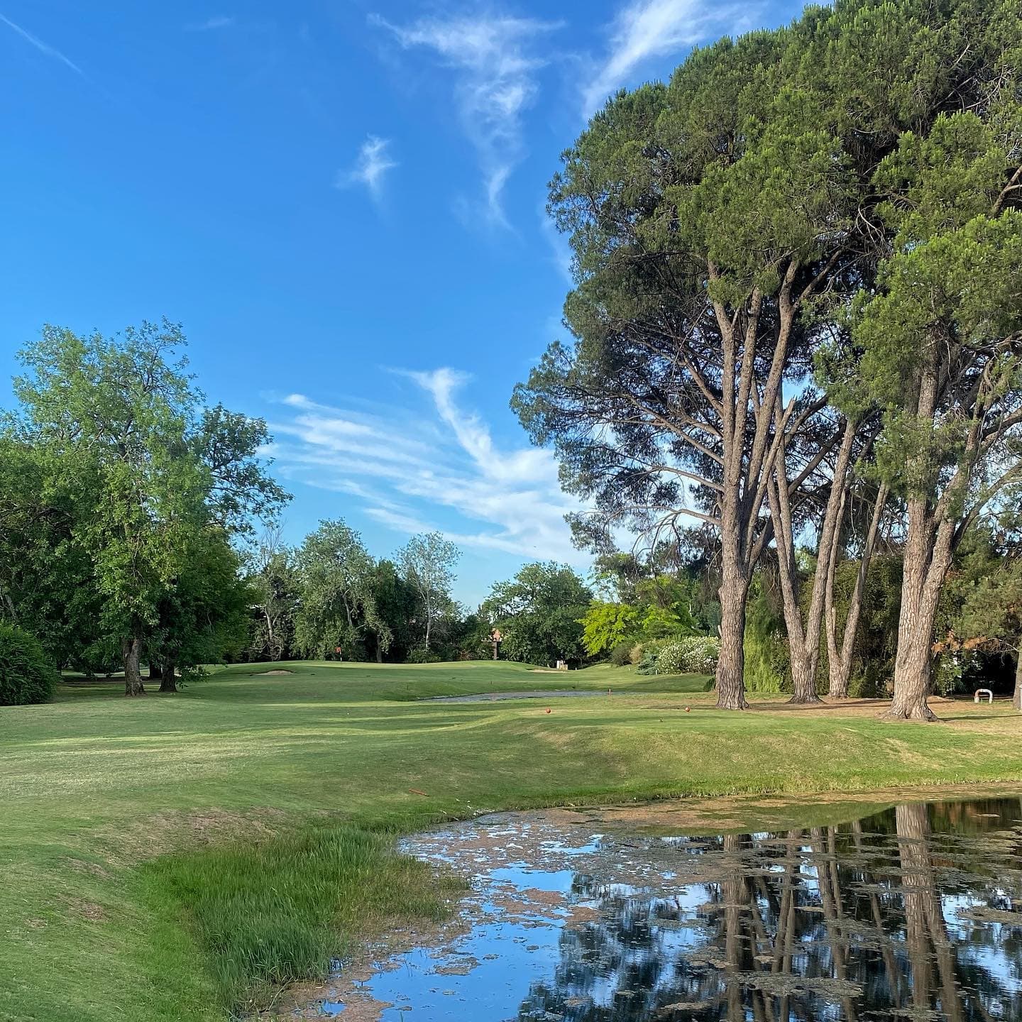 CLUB DE CAMPO LOS PINGÜINOS